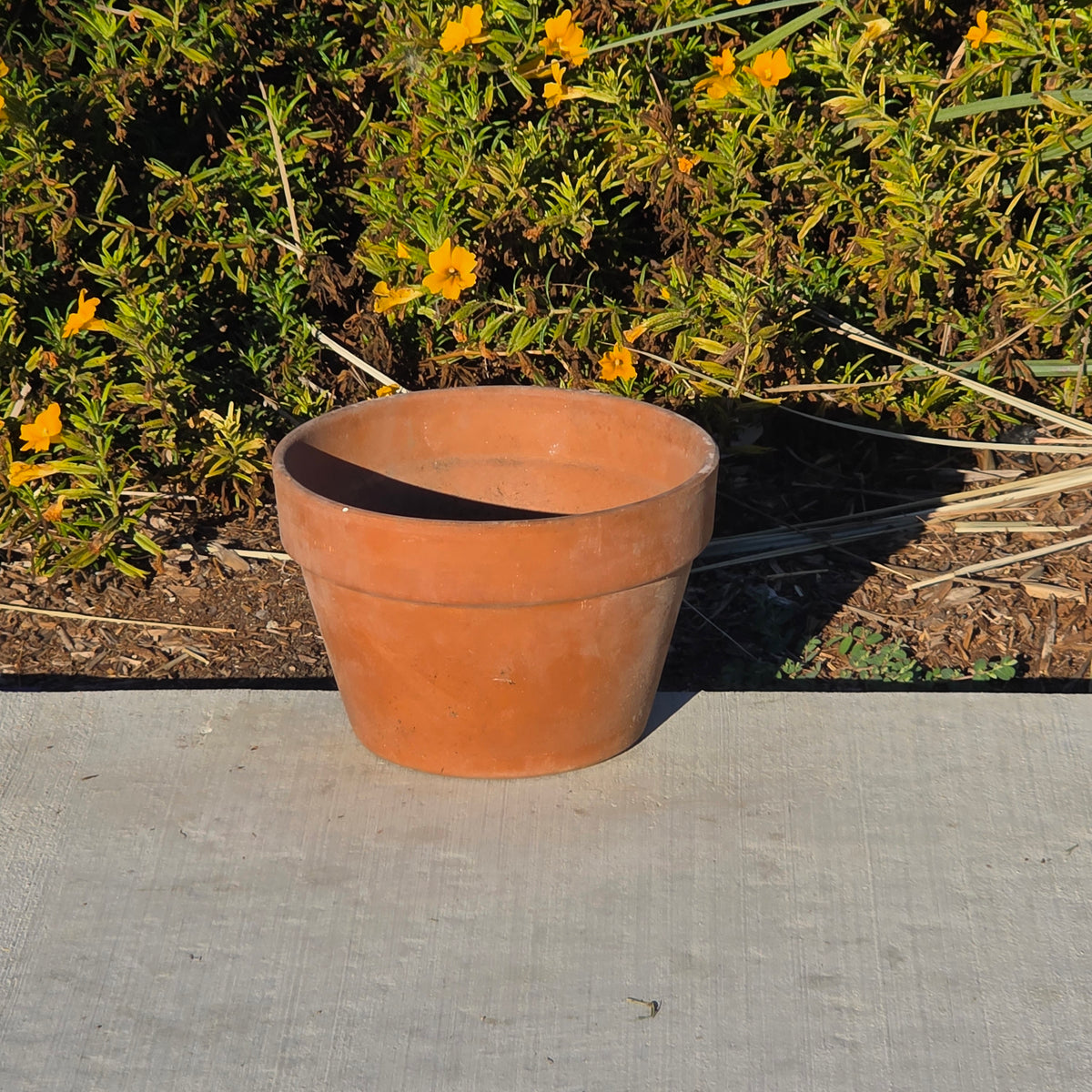 Vtg Terracotta Azalea Pot Flat Rim Clay Planter Semi Shallow Squat Garden 8.5x6