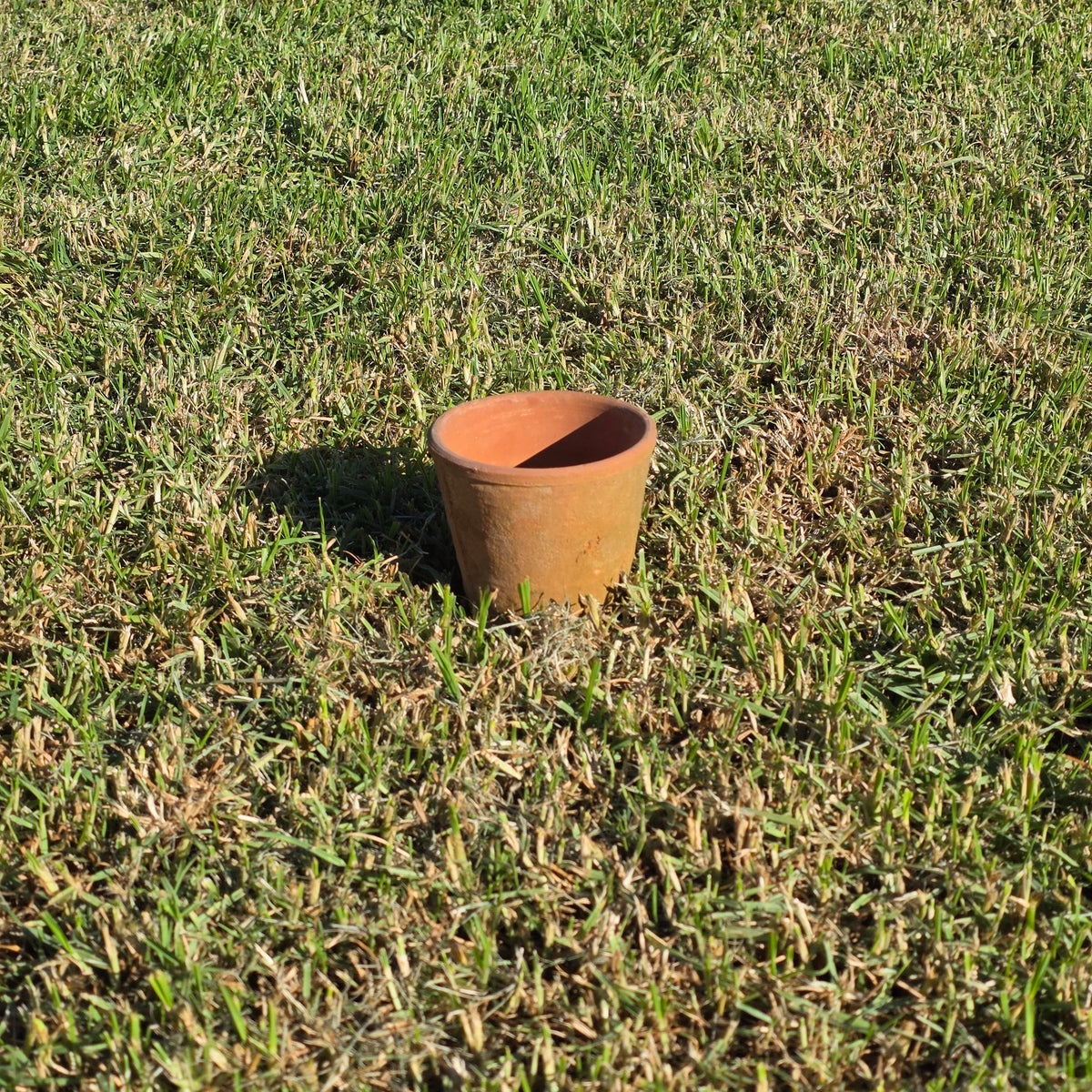 Vintage Terracotta Flower Pot 6" H Aged Moss Patina Rustic Clay Planter Orchid