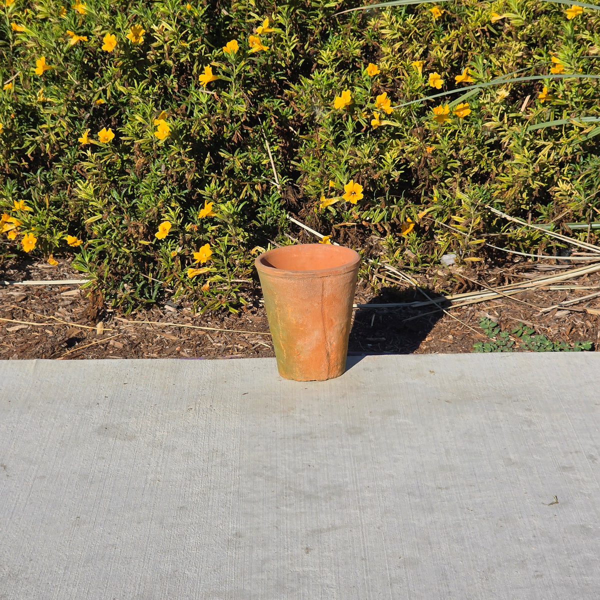 Vintage Terracotta Flower Pot 6" H Aged Moss Patina Rustic Clay Planter Orchid