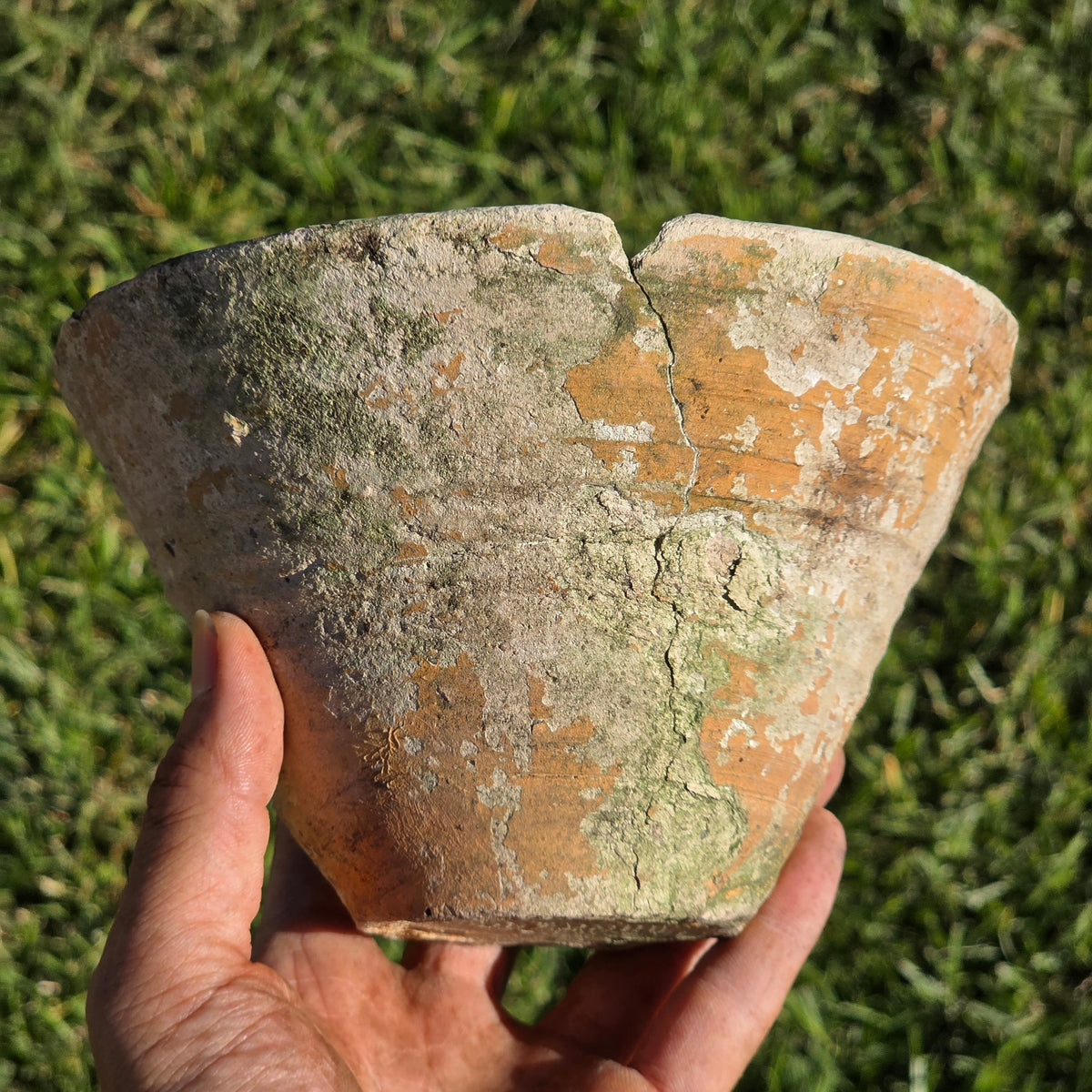 Reserved/Antique French Terracotta Resin Collecting Pot Wheel Thrown Clay Planter Moss