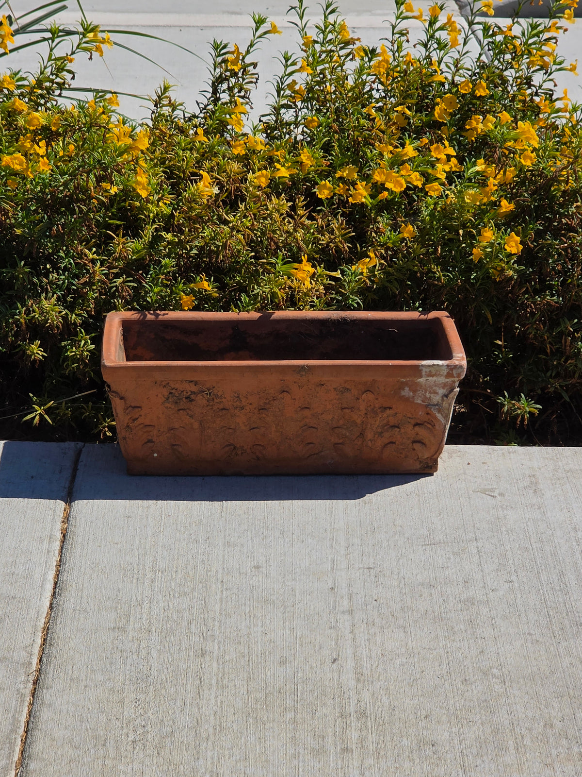 Vintage SILMA Italy Terracotta Rectangular Planter 20" Acanthus Leaf Window Box
