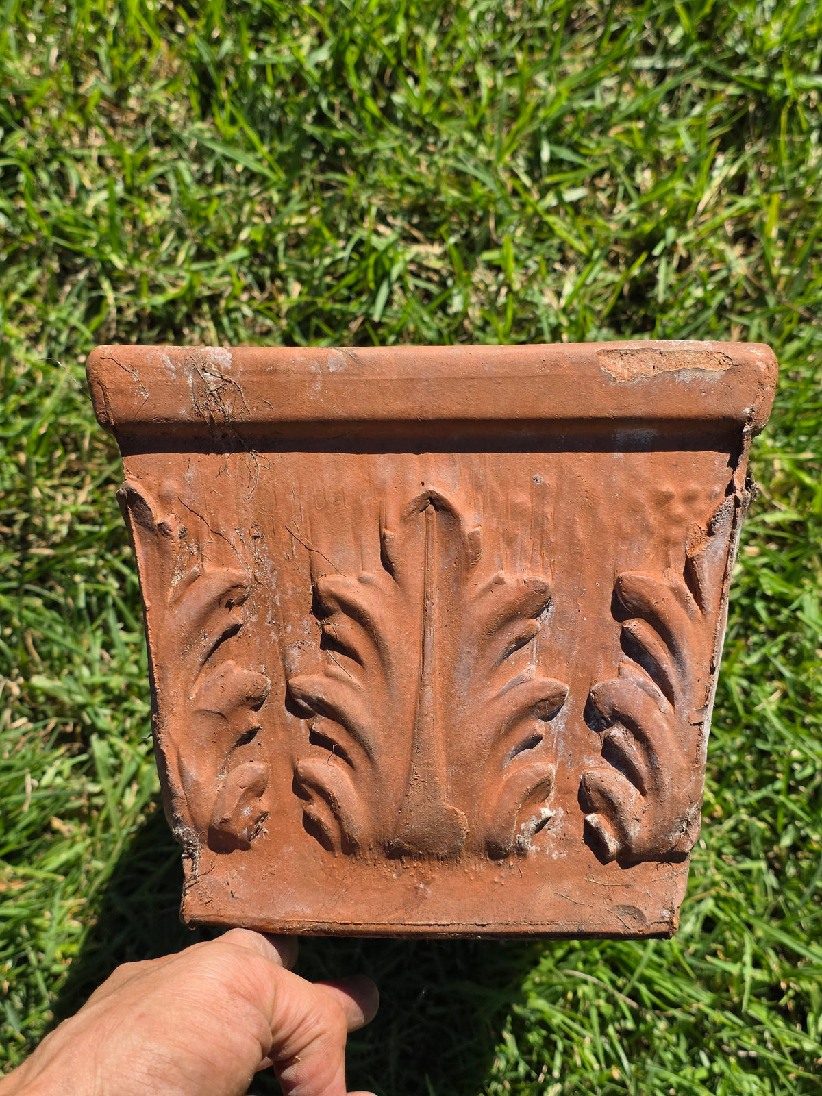 Vintage SILMA Italy Terracotta Rectangular Planter 20" Acanthus Leaf Window Box