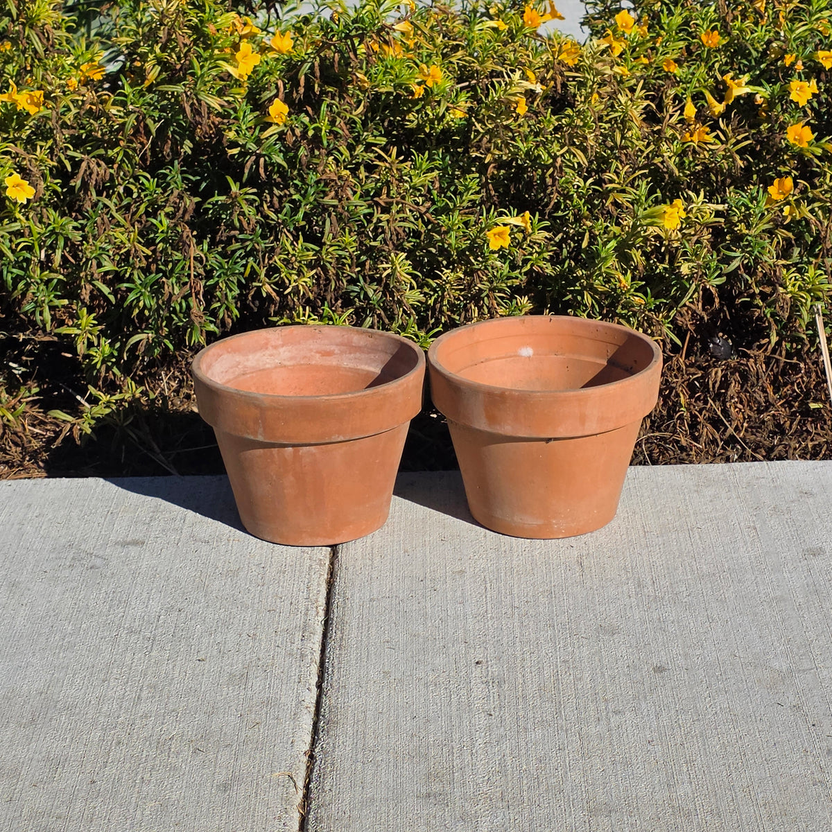 Pair of 2 Vintage ITERRA Terracotta Planter 8" Italian Clay Pots (Made in Italy)