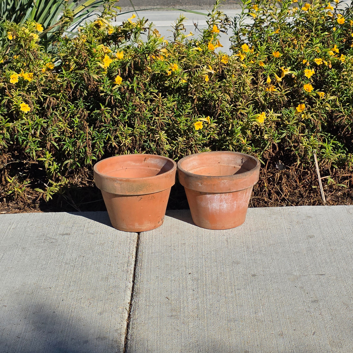 Pair of 2 Vintage ITERRA Terracotta Planter 8" Italian Clay Pots (Made in Italy)