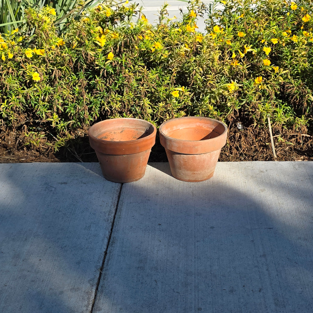 Pair of 2 Vintage ITERRA Terracotta Planter 8" Italian Clay Pots (Made in Italy) (Copy)