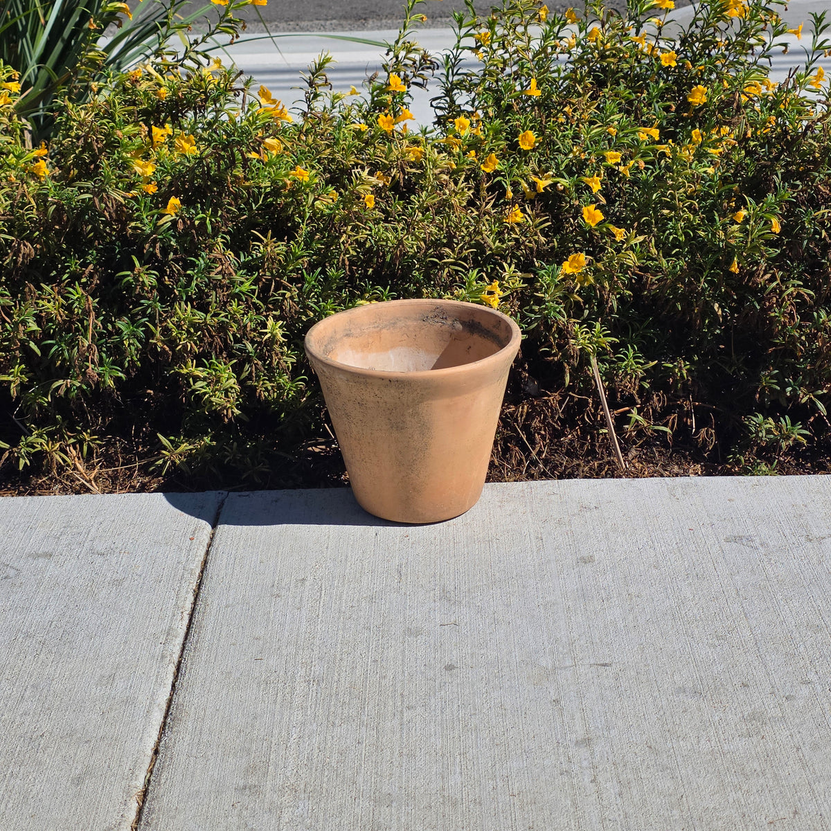 Vintage Terracotta Planter Pot Weathered Clay 10" Flower Rustic Patina Standard