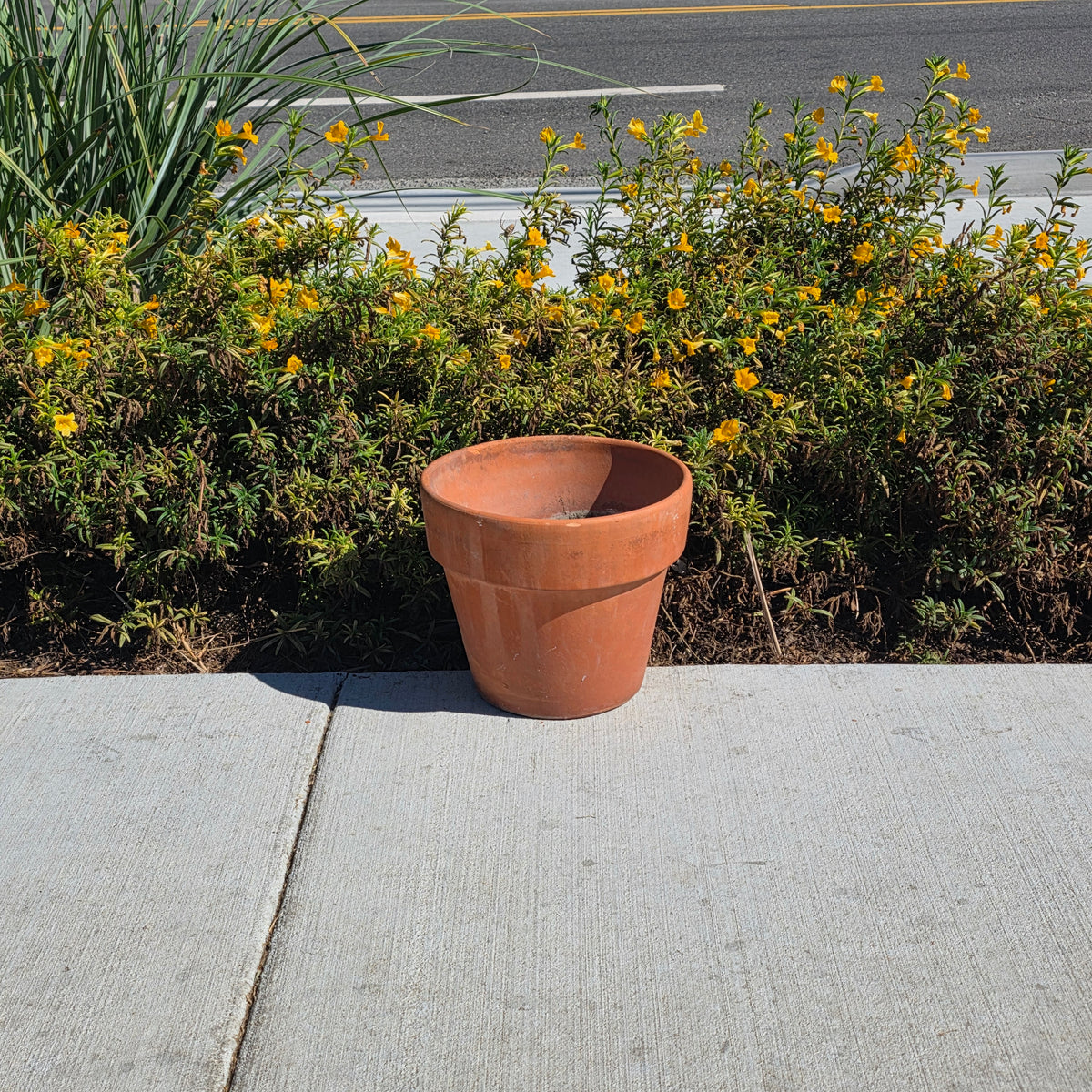 Vintage Terracotta Clay Planter Pot 11" Standard Rim Flower Garden Aged Patina