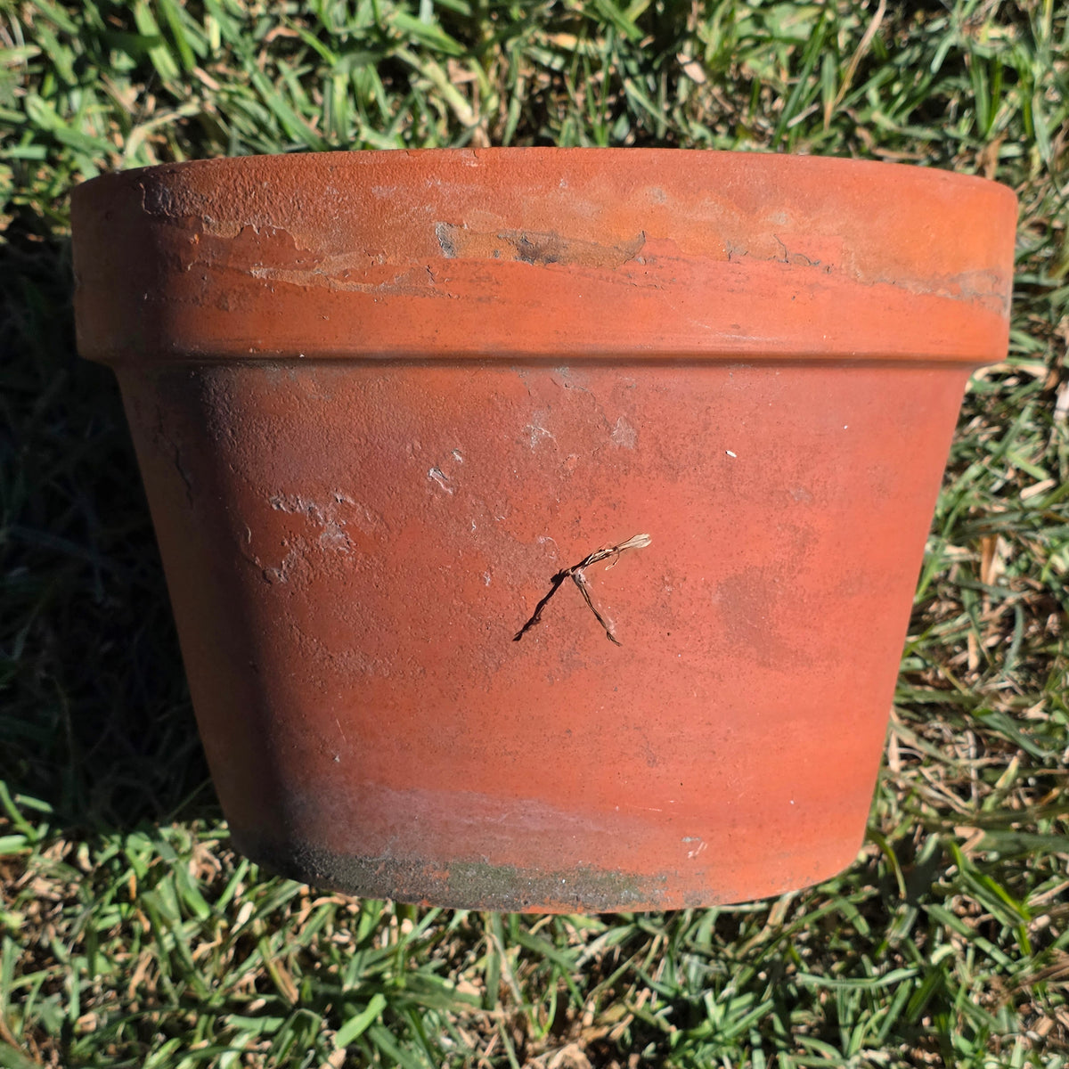 Vintage Terracotta Clay Planter Pot 10" Azalea Squat Shallow Flower Garden Aged