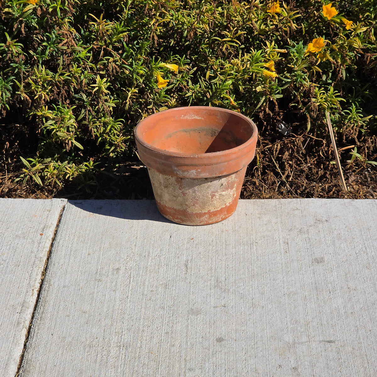 Vtg Italian Terracotta Clay Planter Pot 8" Azalea Squat Stamped 38 Italy Garden