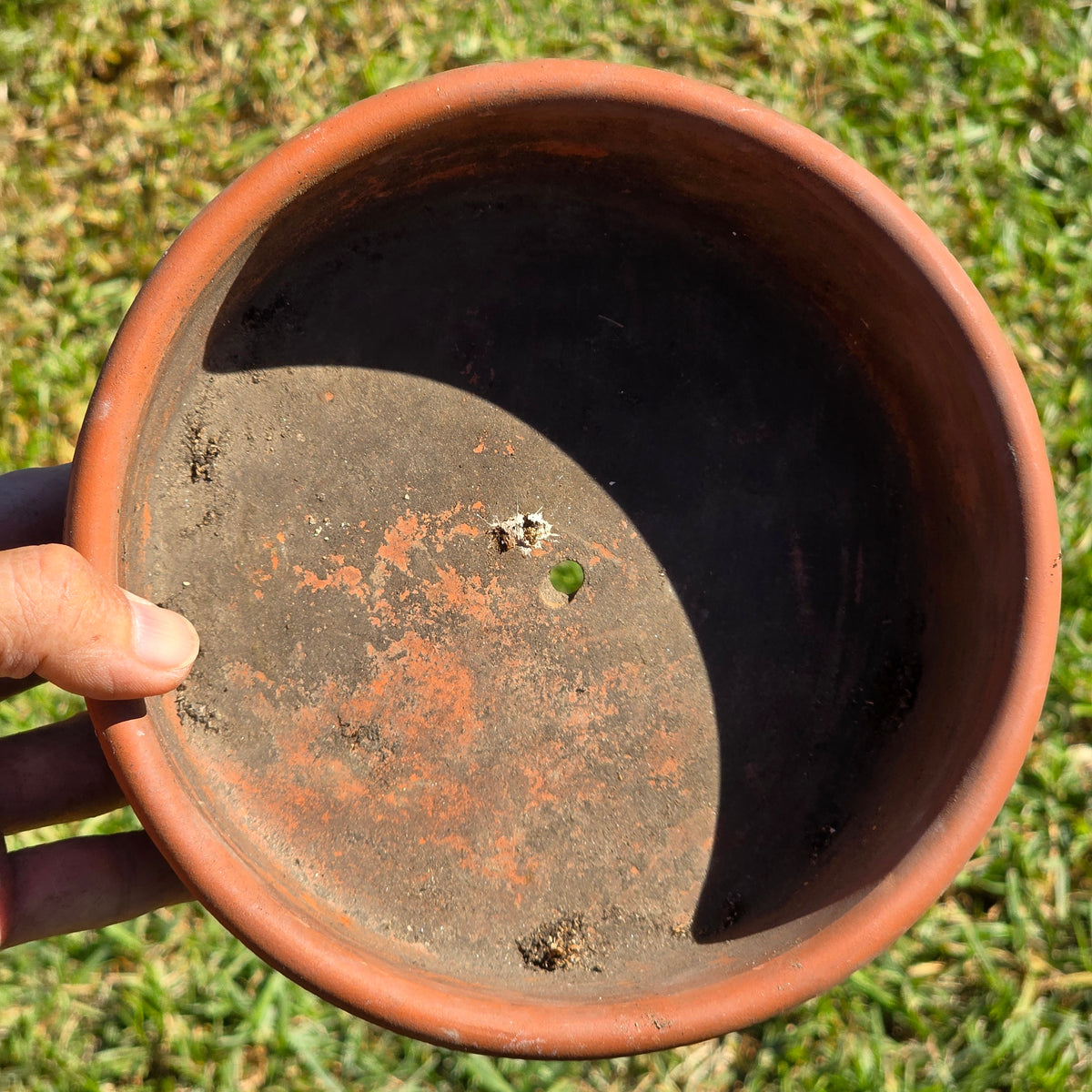 Vintage Terracotta Seed Pan Planter Bowl 7" Clay Bulb Succulent Bonsai Pot