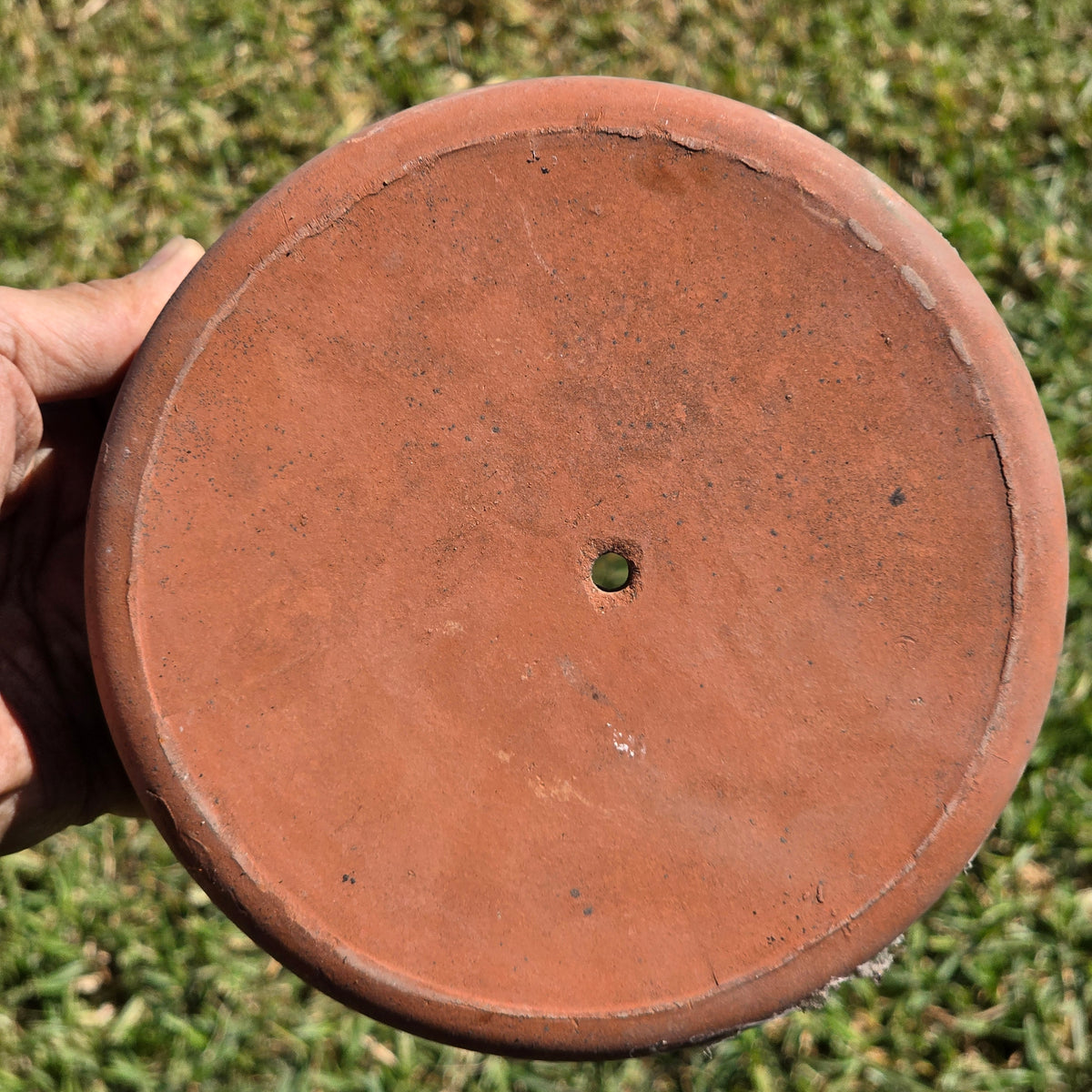 Vintage Terracotta Seed Pan Planter Bowl 7" Clay Bulb Succulent Bonsai Pot