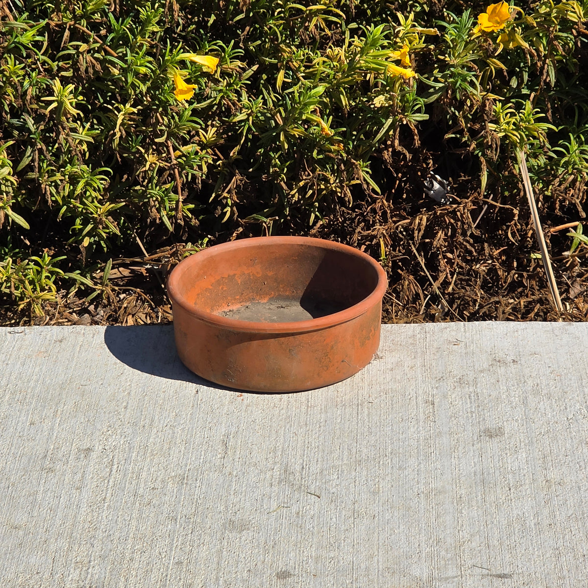 Vintage Terracotta Seed Pan Planter Bowl 7" Clay Bulb Succulent Bonsai Pot