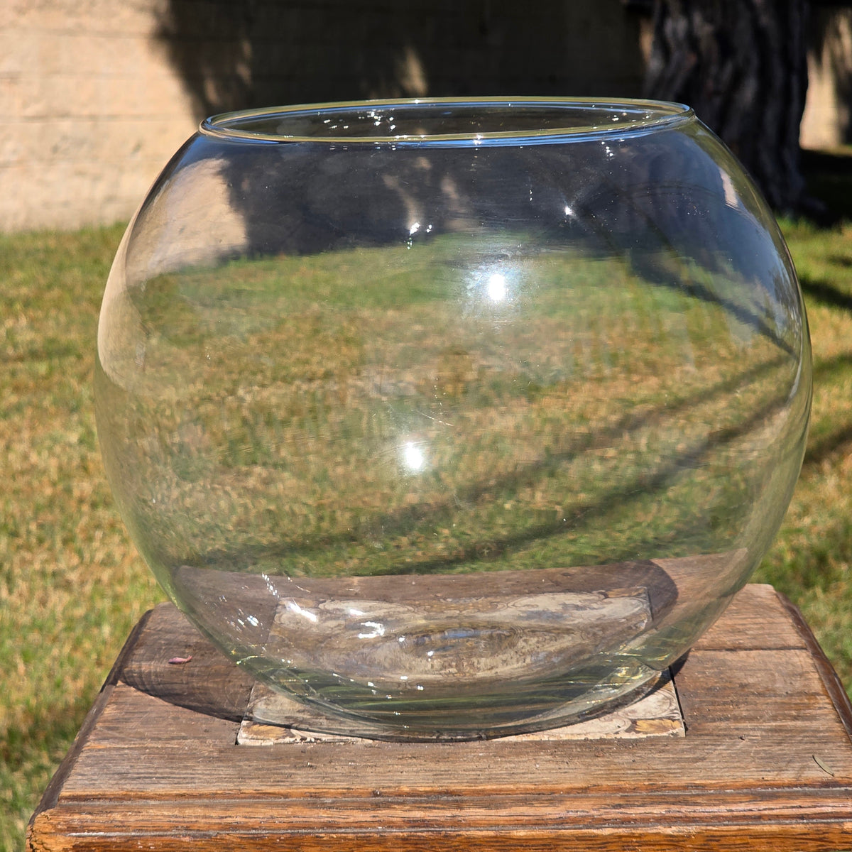Vtg Clear Glass Fish Bowl 10" Bubble Vase Terrarium MCM Hand Blown Round Large