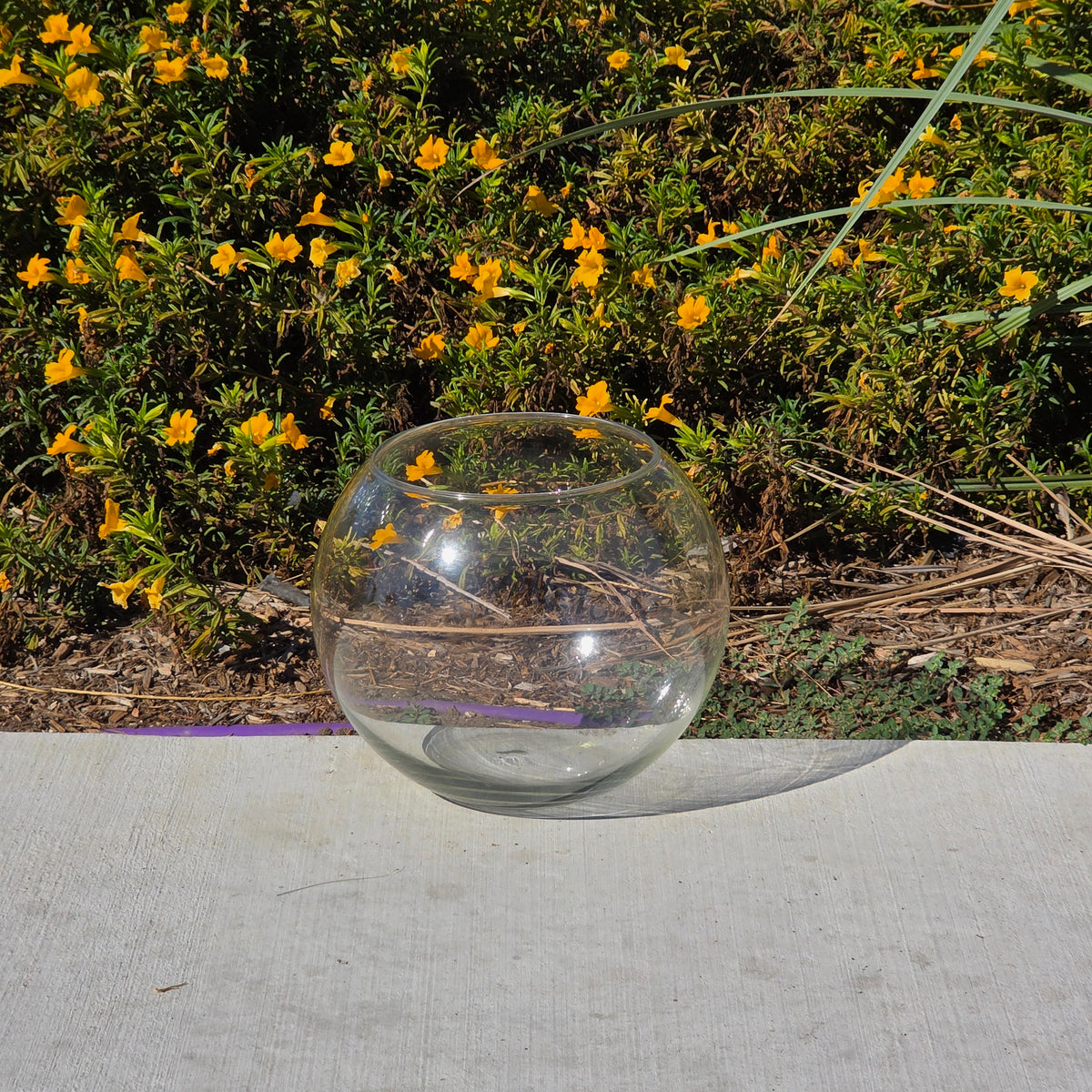 Vtg Clear Glass Fish Bowl 10" Bubble Vase Terrarium MCM Hand Blown Round Large