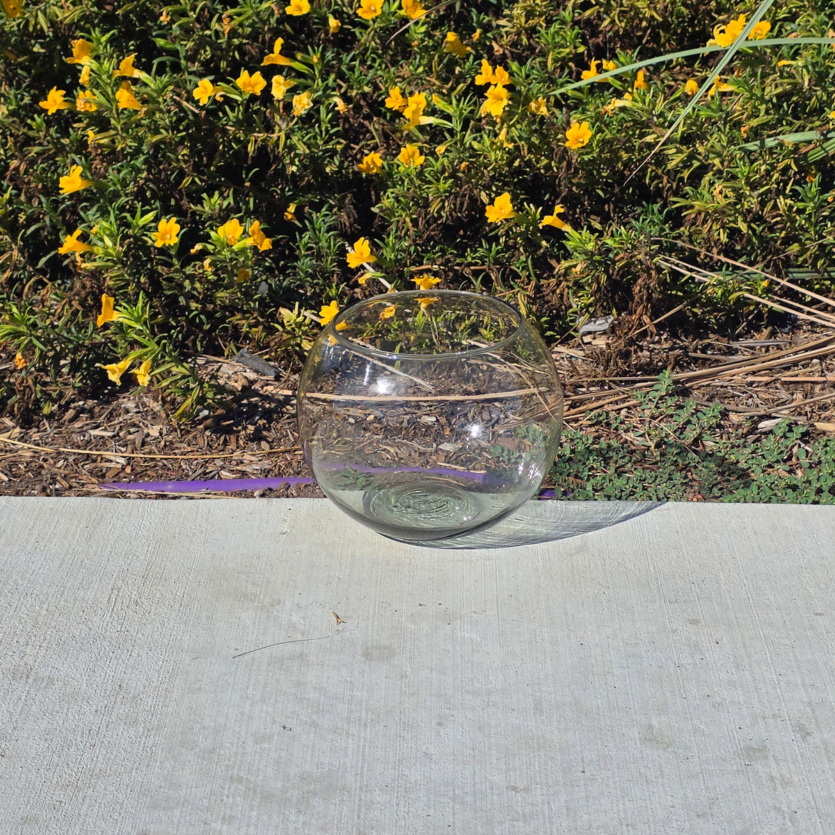 Vintage Smoked Glass Fish Bowl 8" Bubble Vase Tinted Green Terrarium MCM Round