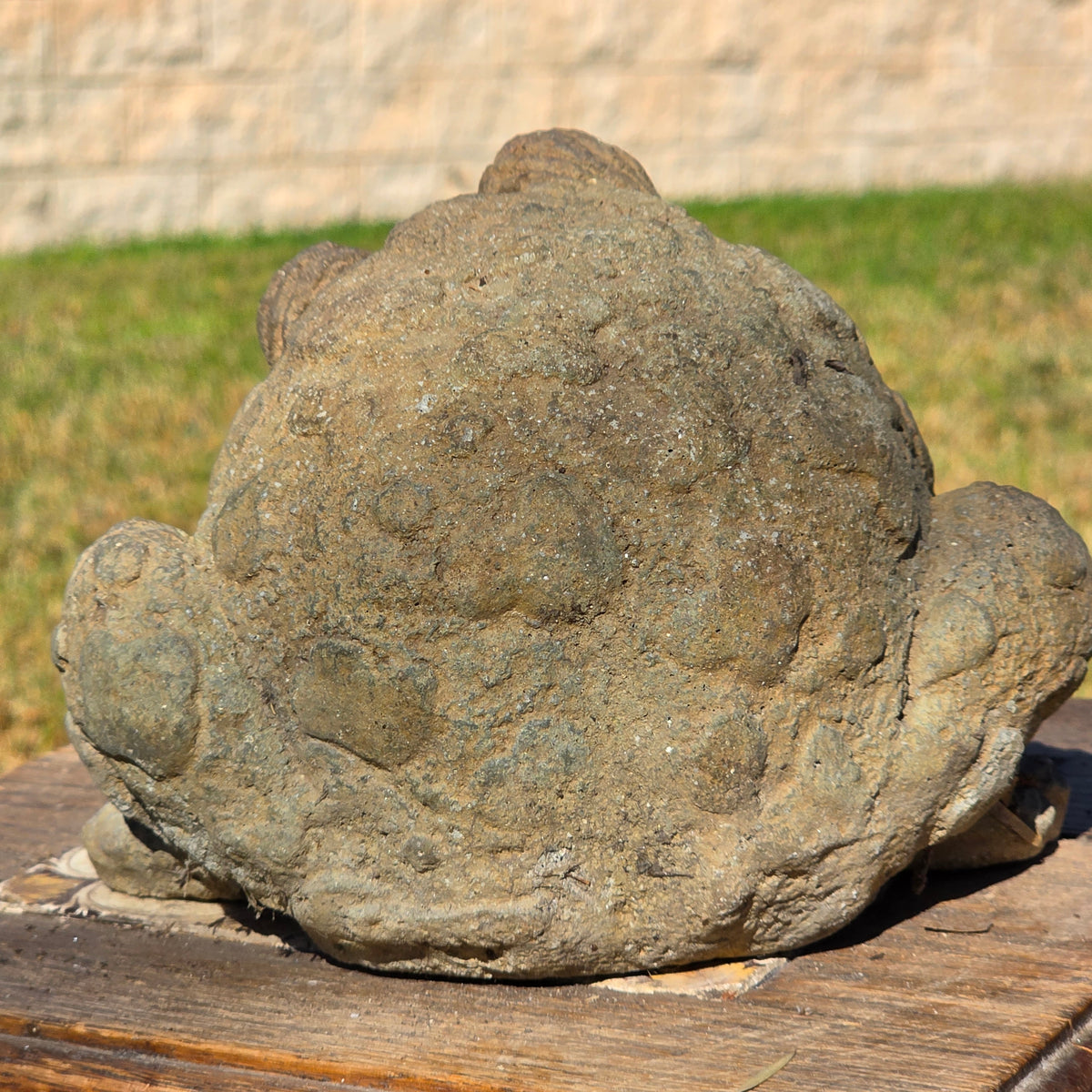 Vintage French Style Stone Toad Statue Weathered Concrete Frog Garden Ornament