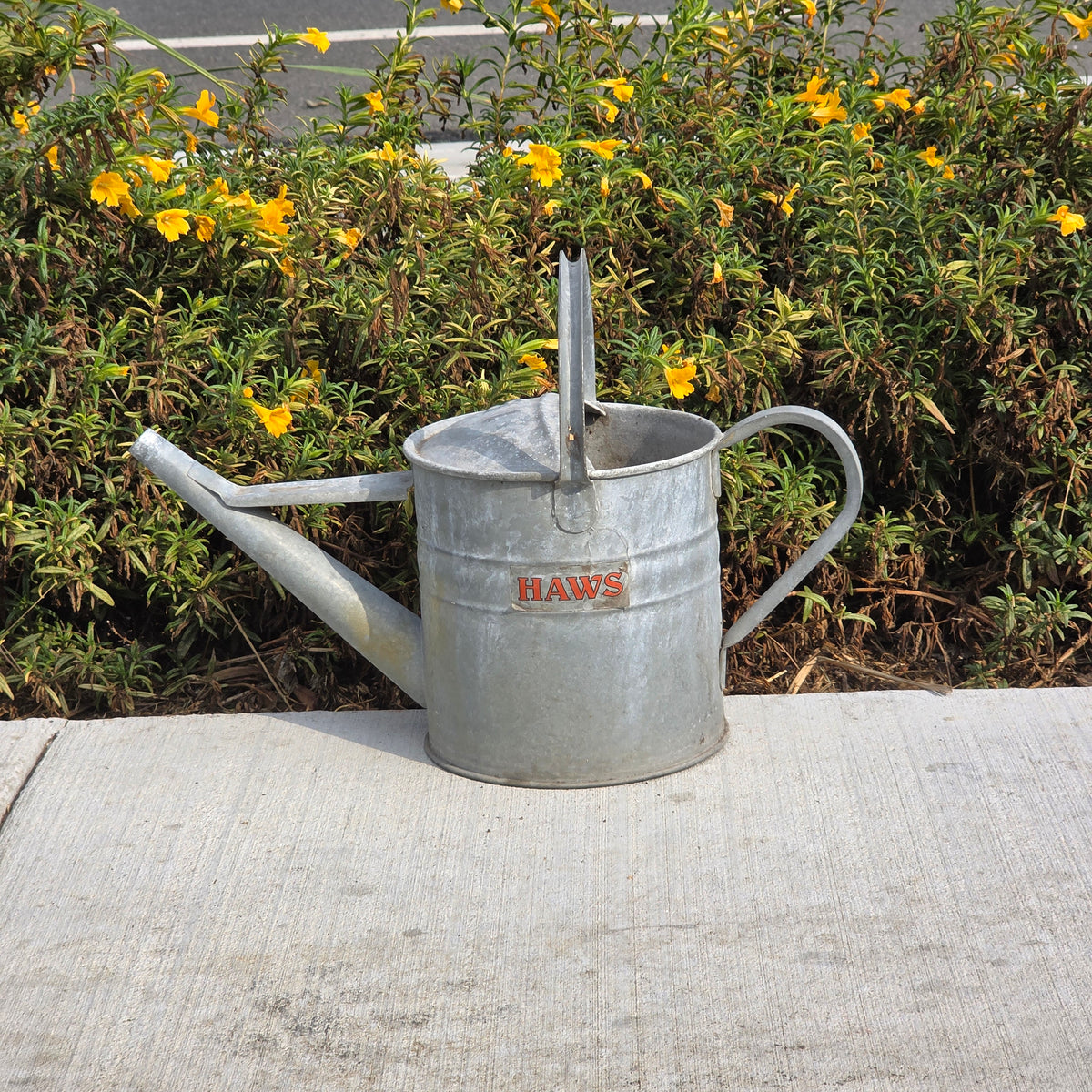 Vtg HAWS Galvanized Watering Can 1 Gallon Metal Steel Short Spout Garden England