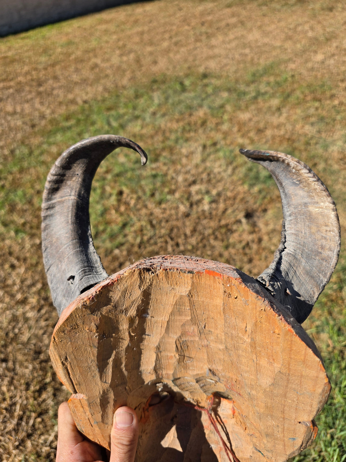 Vintage Guatemalan Diablo Devil Mask Set Real Horns Wood Folk Art Frog Lizard