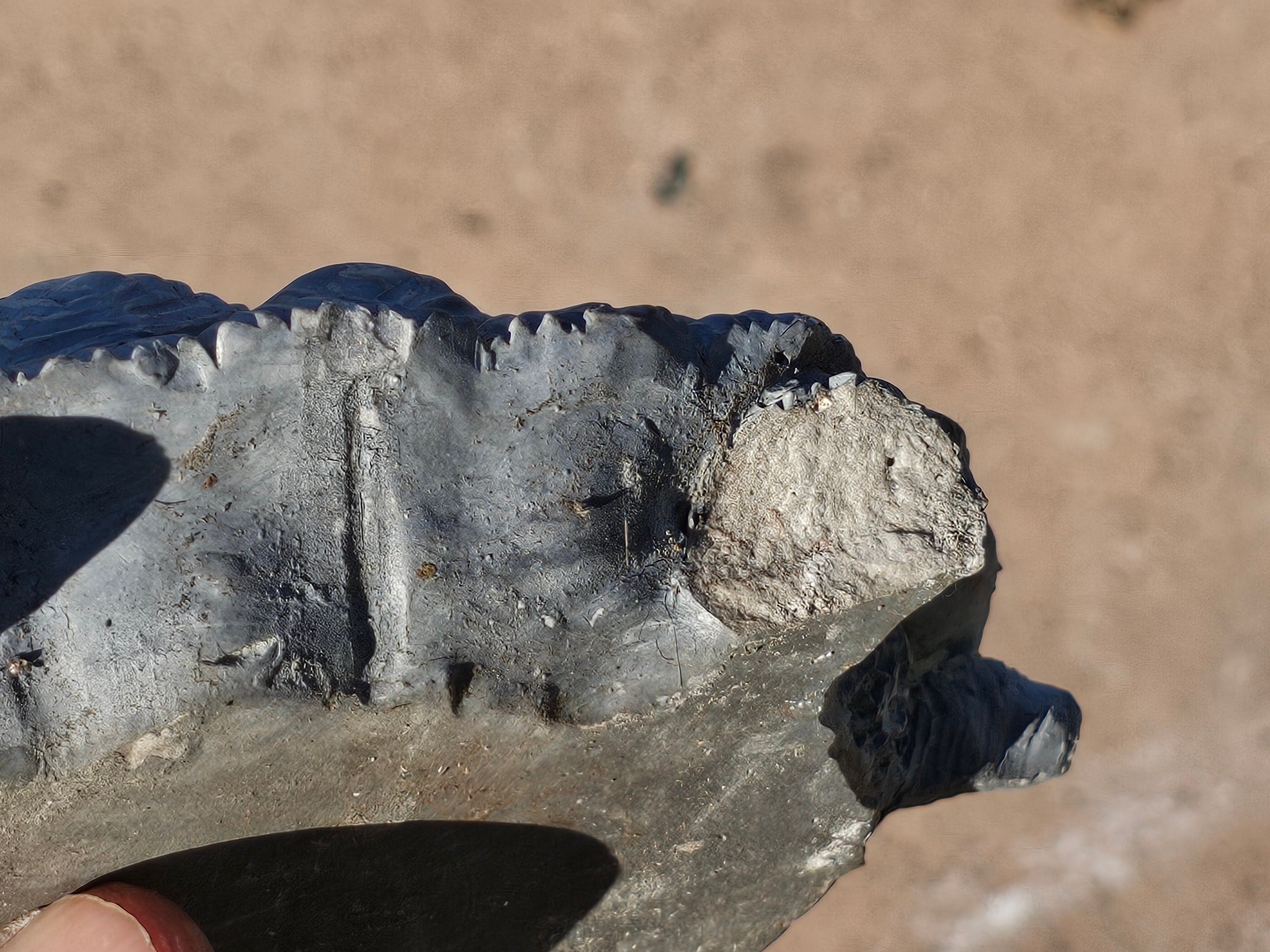 Set of 2 Plaster or Resin Tortoise Statue Outdoor Sculpture Home Lawn Patio Yard