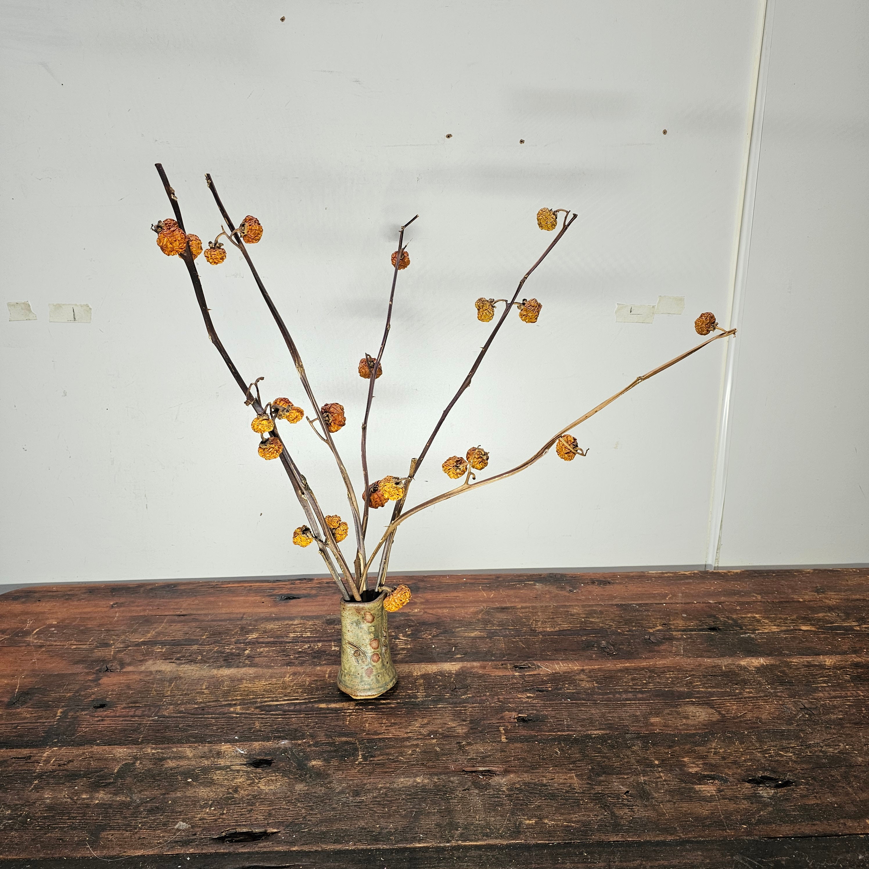 Dried Pumpkins On Sticks In A Singed Vase Asian Style Decoration