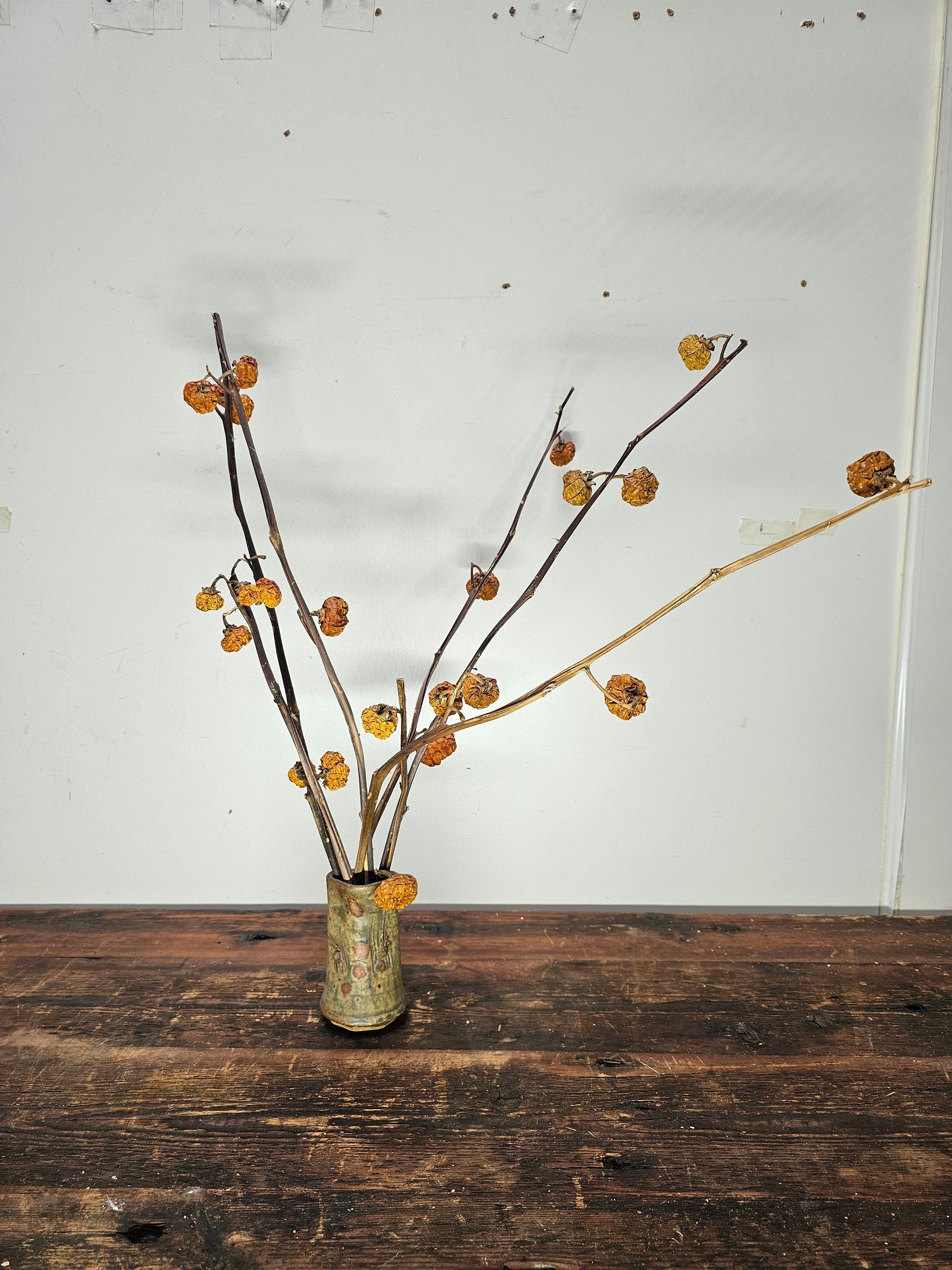 Dried Pumpkins On Sticks In A Singed Vase Asian Style Decoration