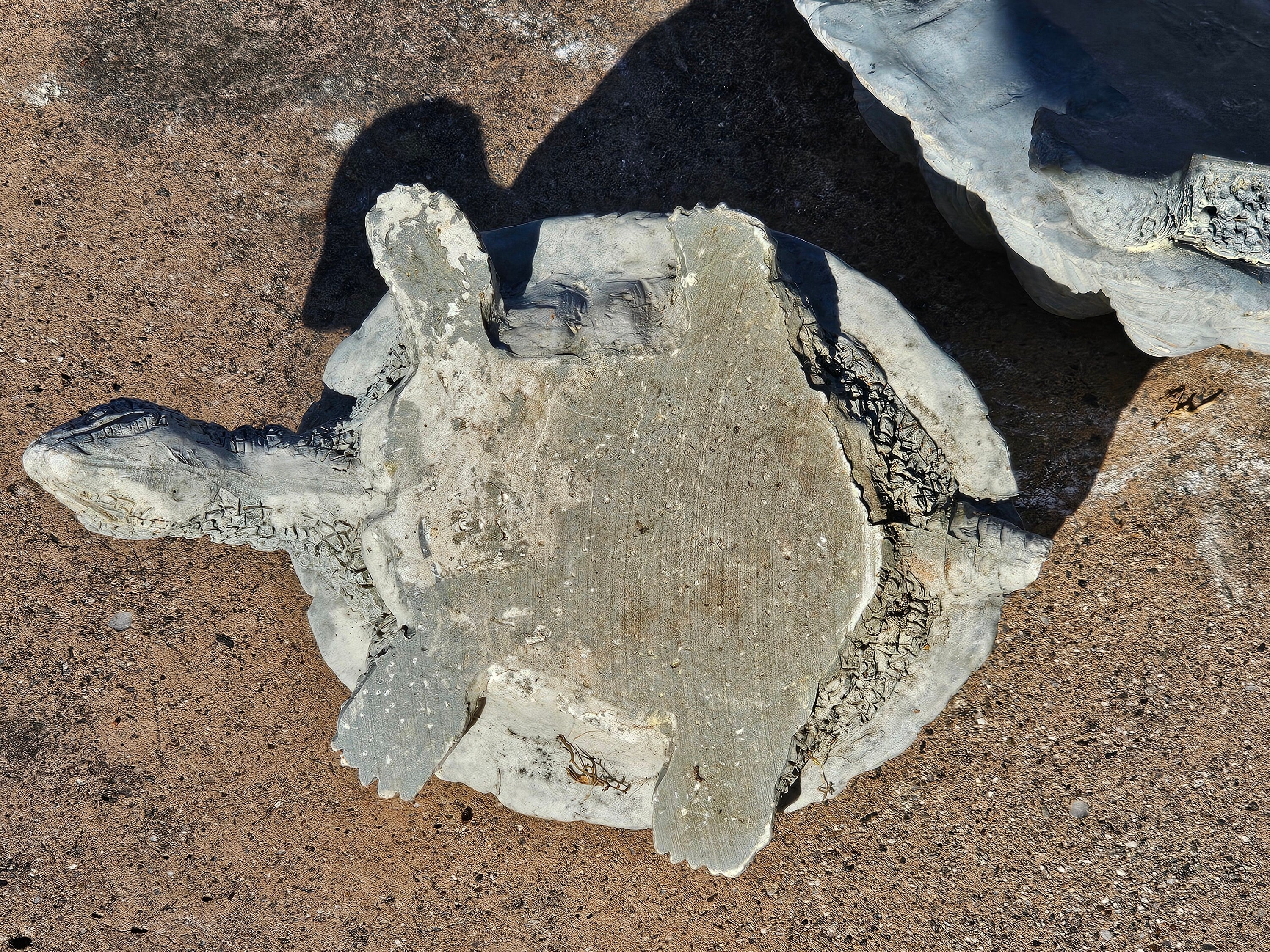 Set of 2 Plaster or Resin Tortoise Statue Outdoor Sculpture Home Lawn Patio Yard