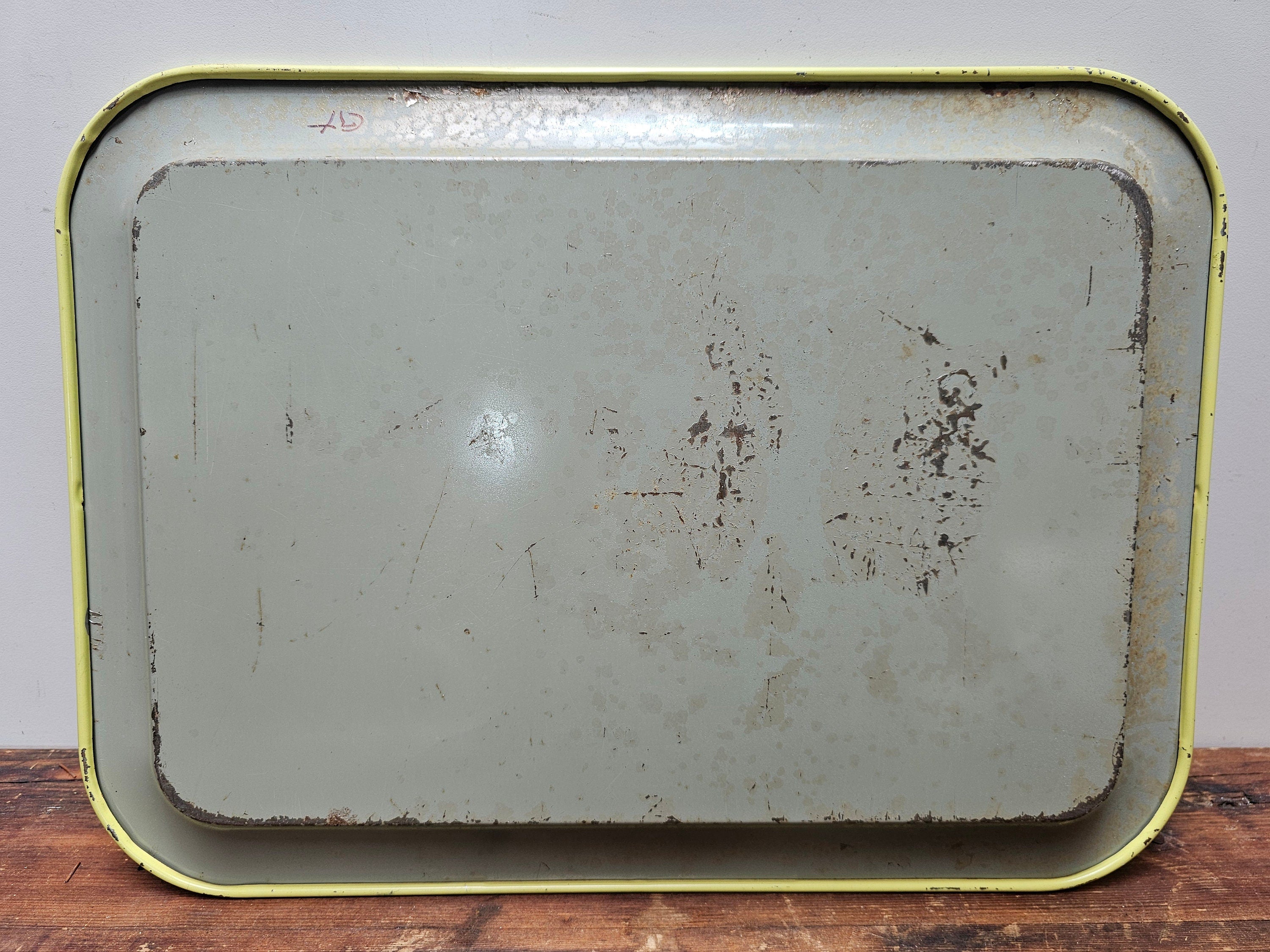 Set of 2 Vintage Fall Metal Serving Tray Made In Japan