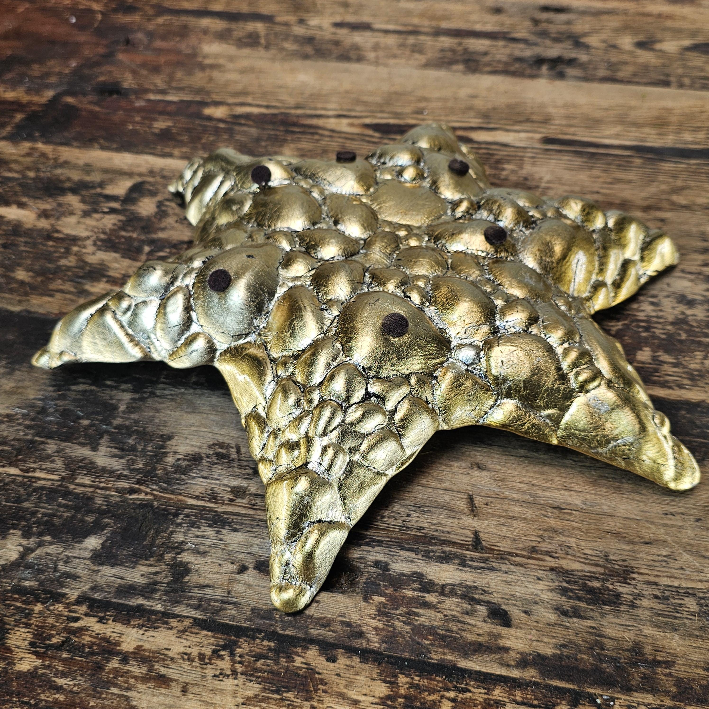 Set of 2 Z Gallerie "Arda" Pebble Star Bowl Set