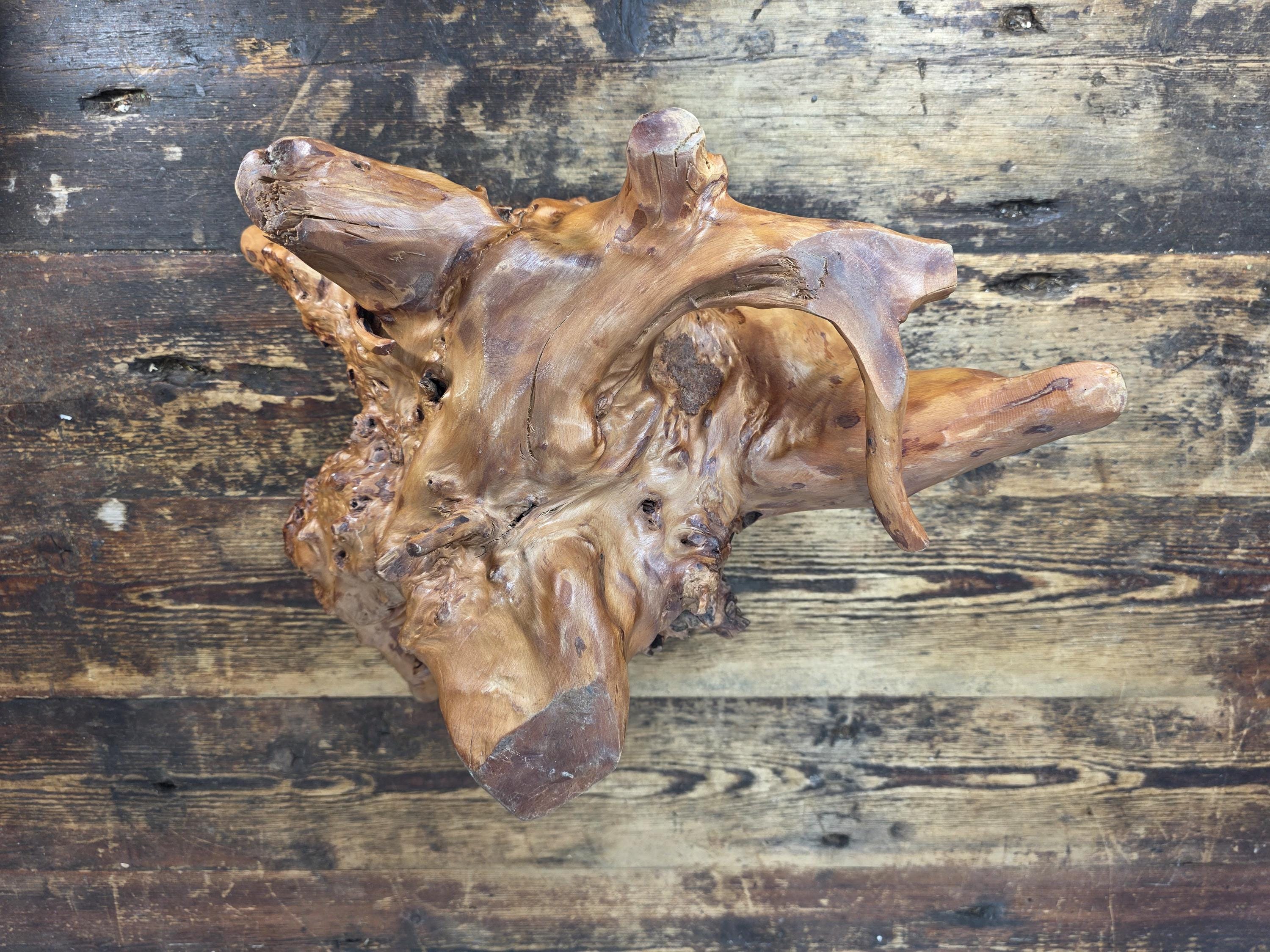 Vintage Hand-Carved Burl Wood Root Bowl / Sculpture — Natural Freeform 17" x 11"