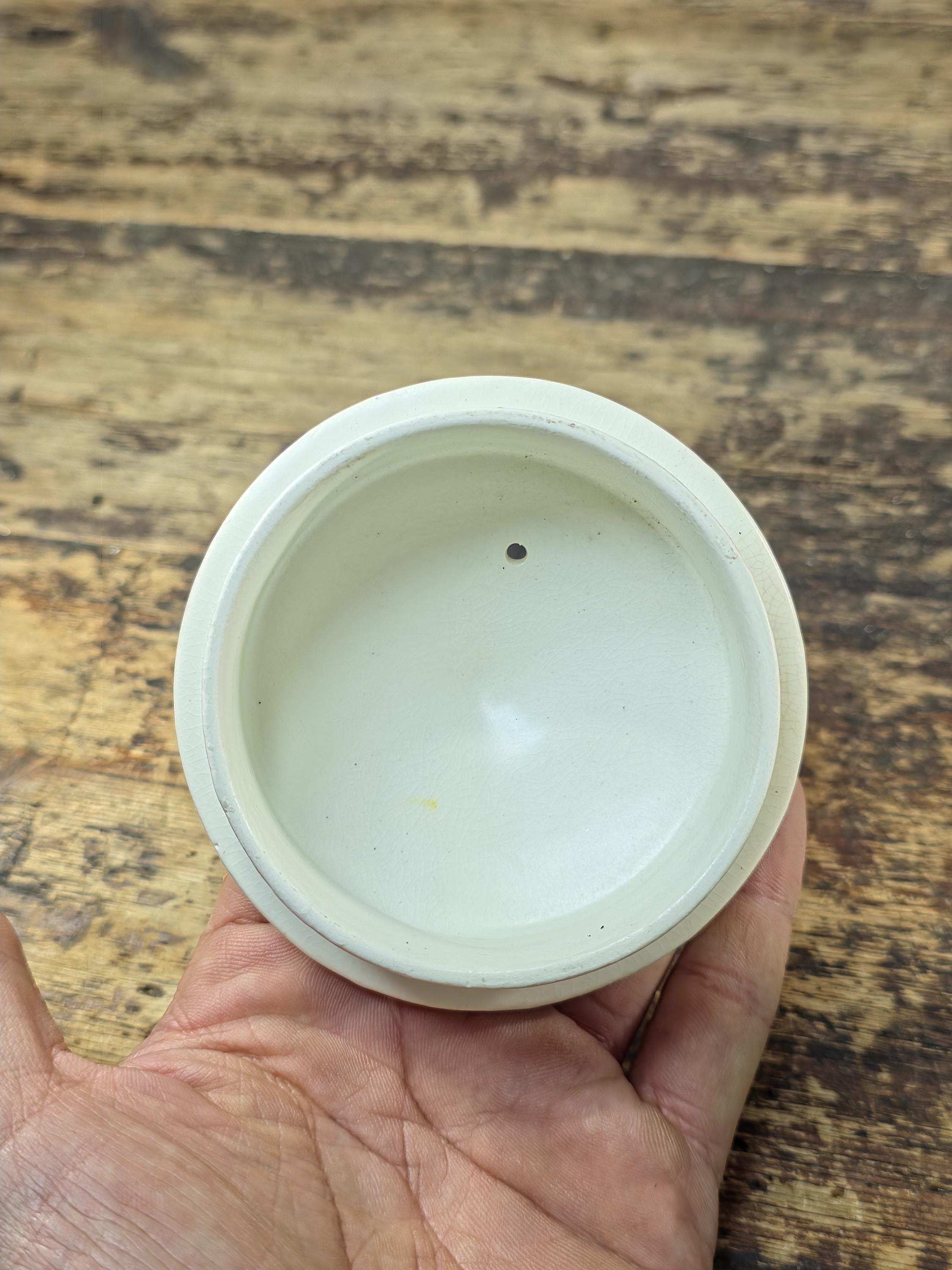 Crown Ducal Snow Glaze Coffee Pot 2lb Hand Painted Floral England Vintage