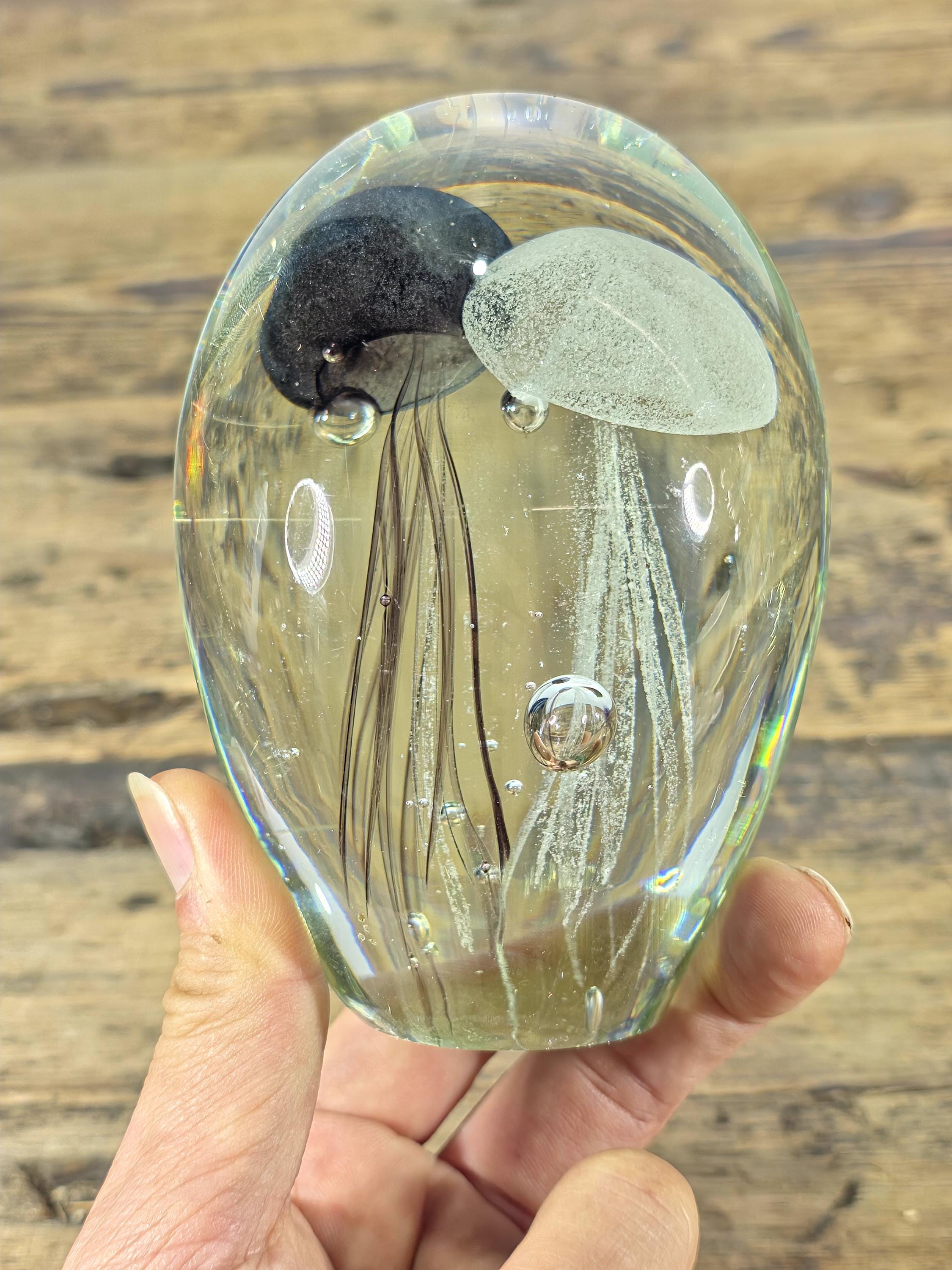 Hand-Blown Glass Jellyfish Paperweight | Clear Art Glass with Dual Jellyfish