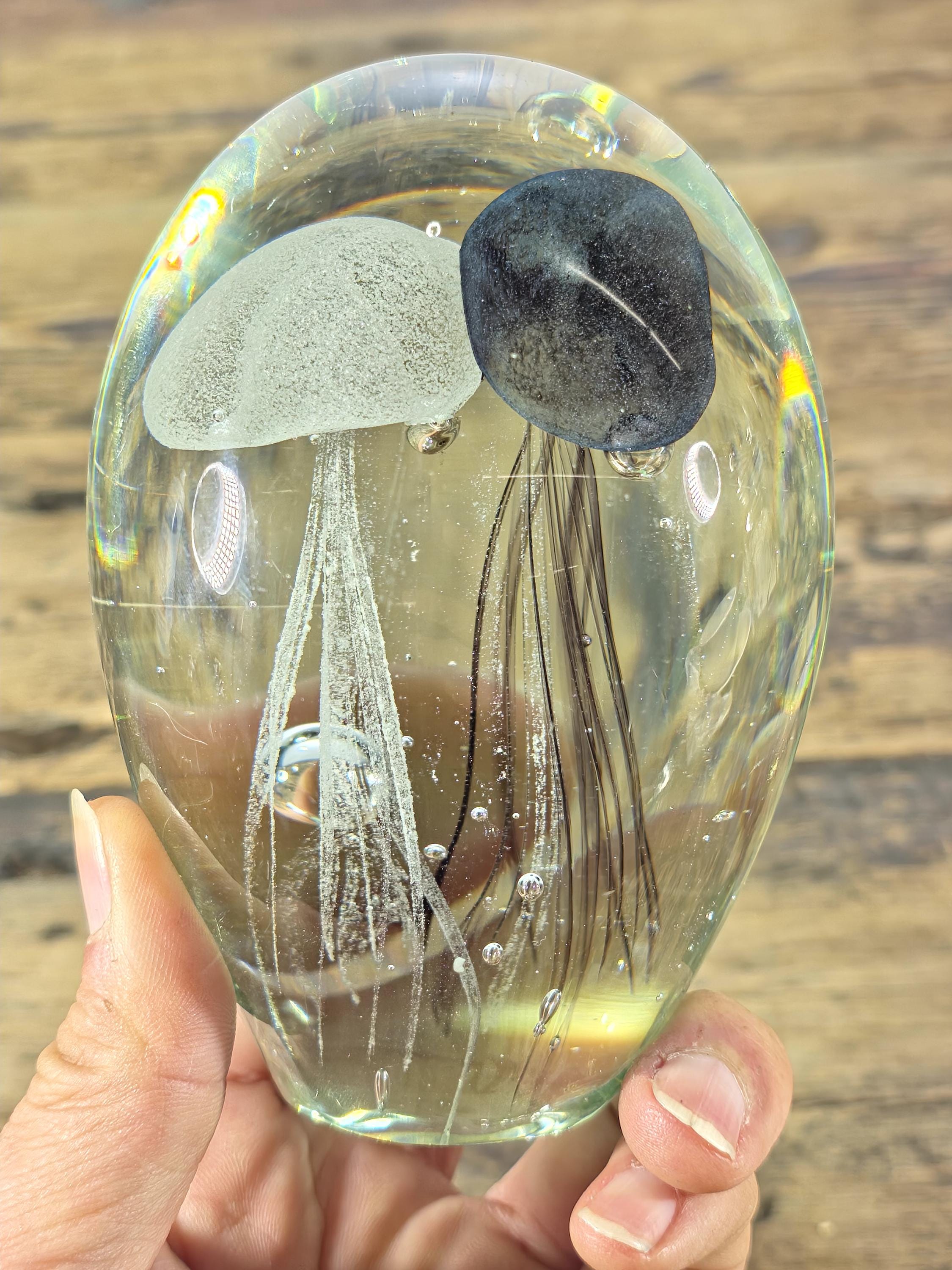 Hand-Blown Glass Jellyfish Paperweight | Clear Art Glass with Dual Jellyfish