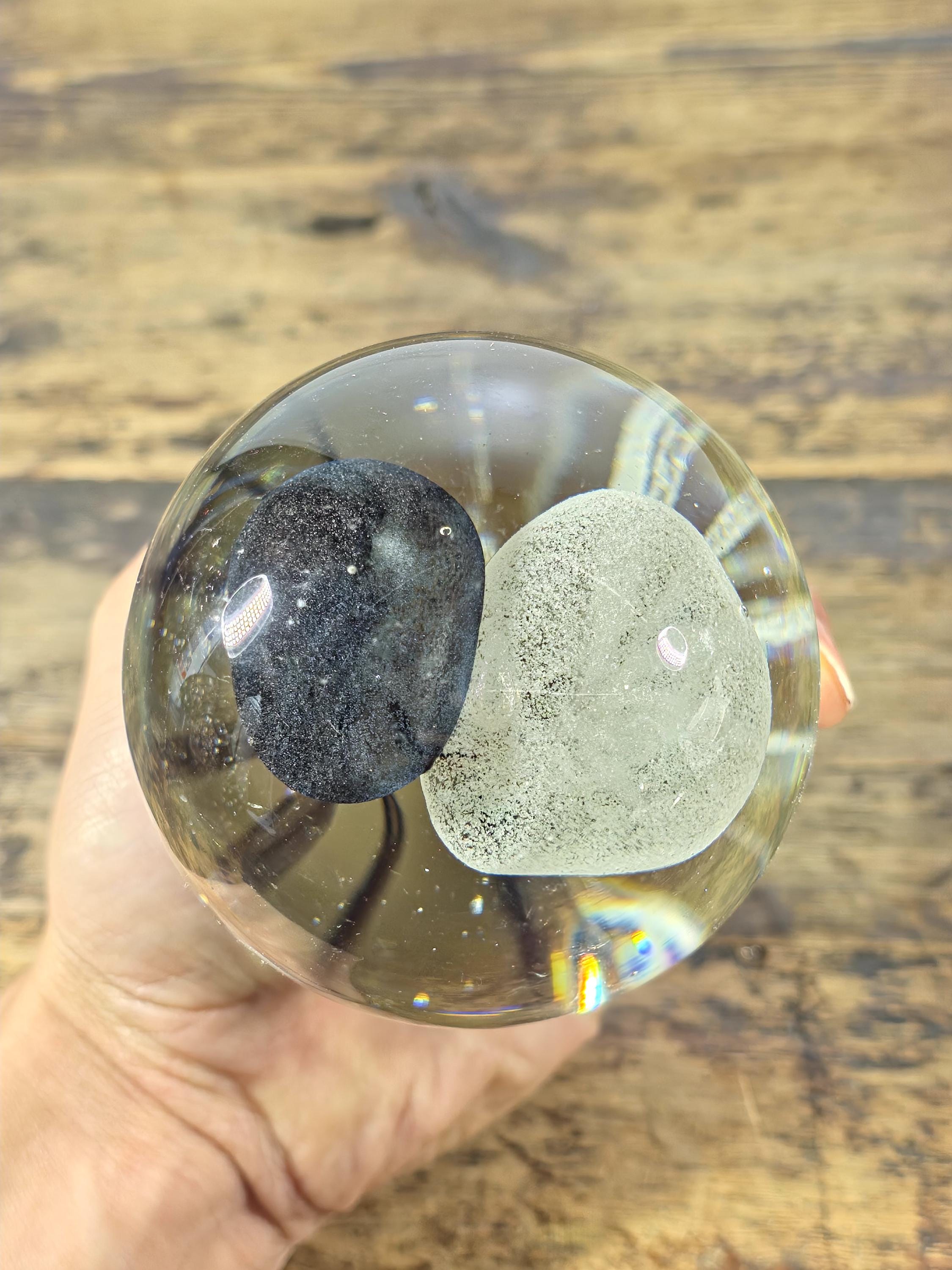 Hand-Blown Glass Jellyfish Paperweight | Clear Art Glass with Dual Jellyfish