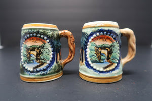 State Souvenir of Virginia Beer Stein Salt Pepper Shakers Made In Japan