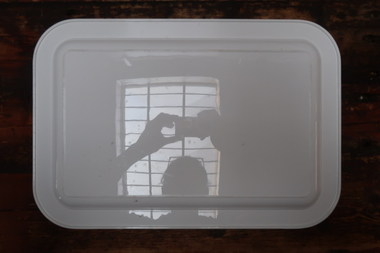 GUZZINI Acrylic 2 Serving Trays & 1 Pitcher by Paolo Tilche 1970's (Set of 3)