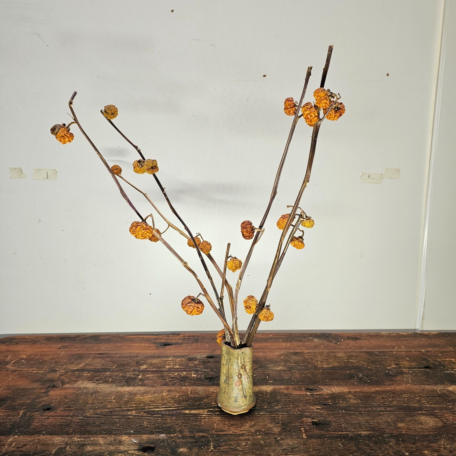 Dried Pumpkins On Sticks In A Singed Vase Asian Style Decoration