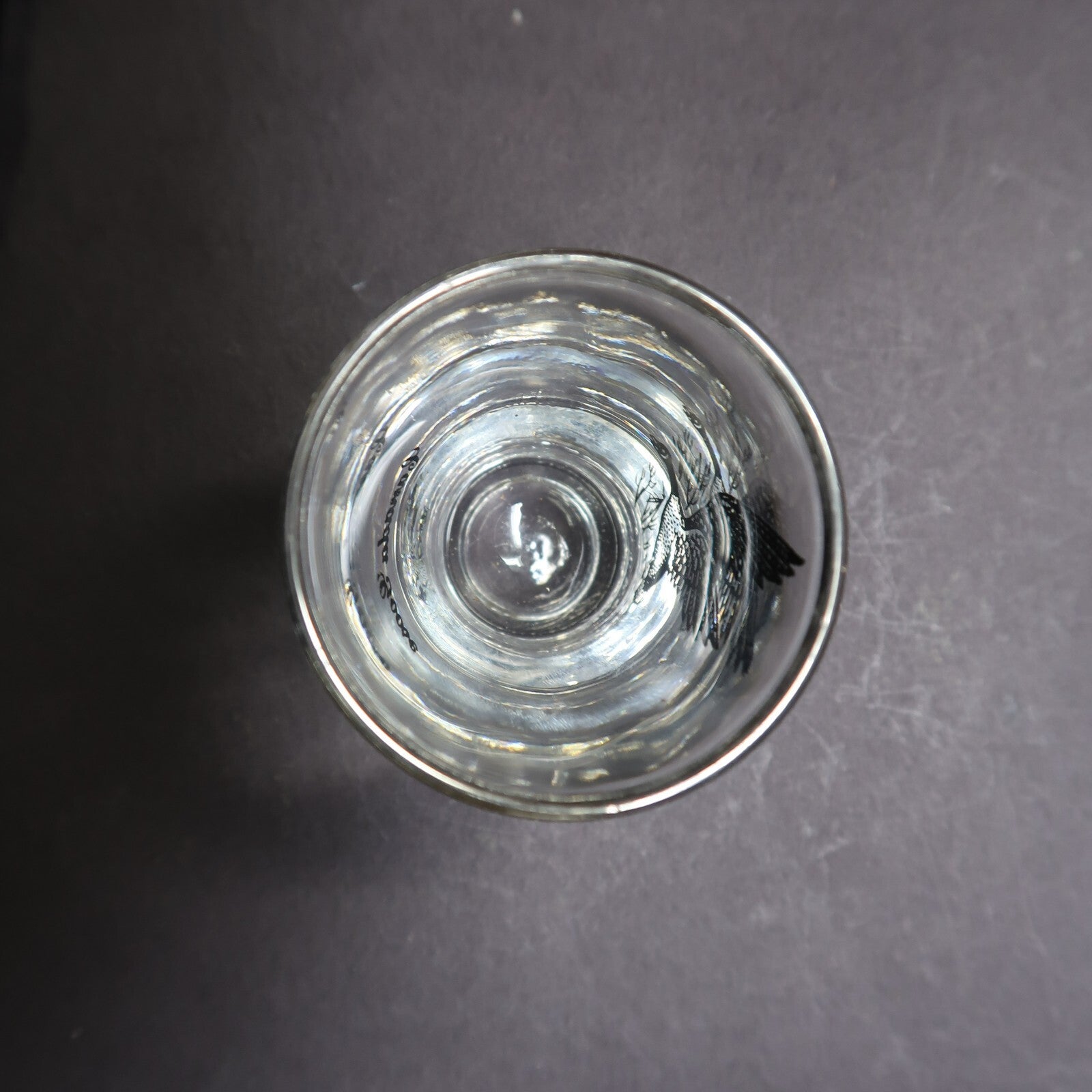 Canada Goose Old Fashioned Sportsman by FEDERAL GLASS