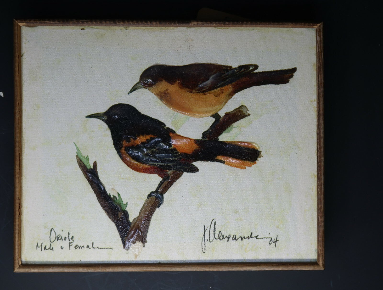 Oriole Male & Femal Shabby Chic Wall Art 10.5" x 8.5"