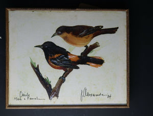 Oriole Male & Femal Shabby Chic Wall Art 10.5" x 8.5"