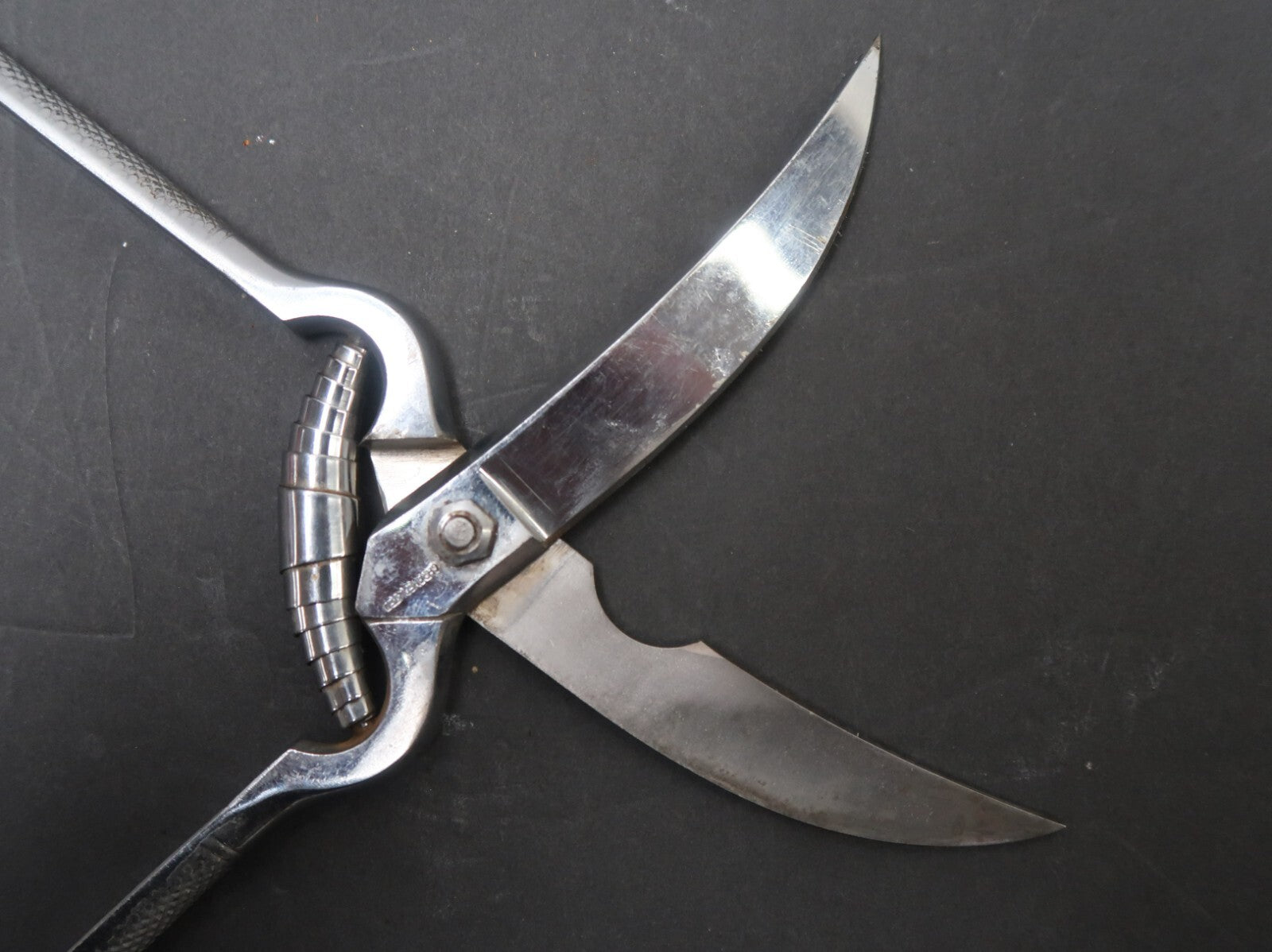 N Schreiber & Sons Chrome Plated Poultry Kitchen Shears Scissors Made In Italy