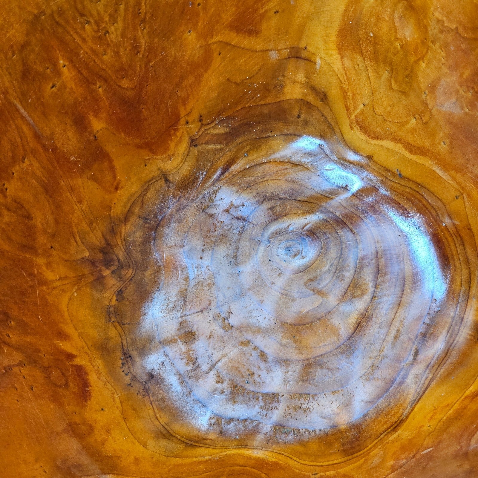 Large Wood Burl Root Hand Carved Bowl Basket with Handle 13.5" x 13.5" x 19.5"H