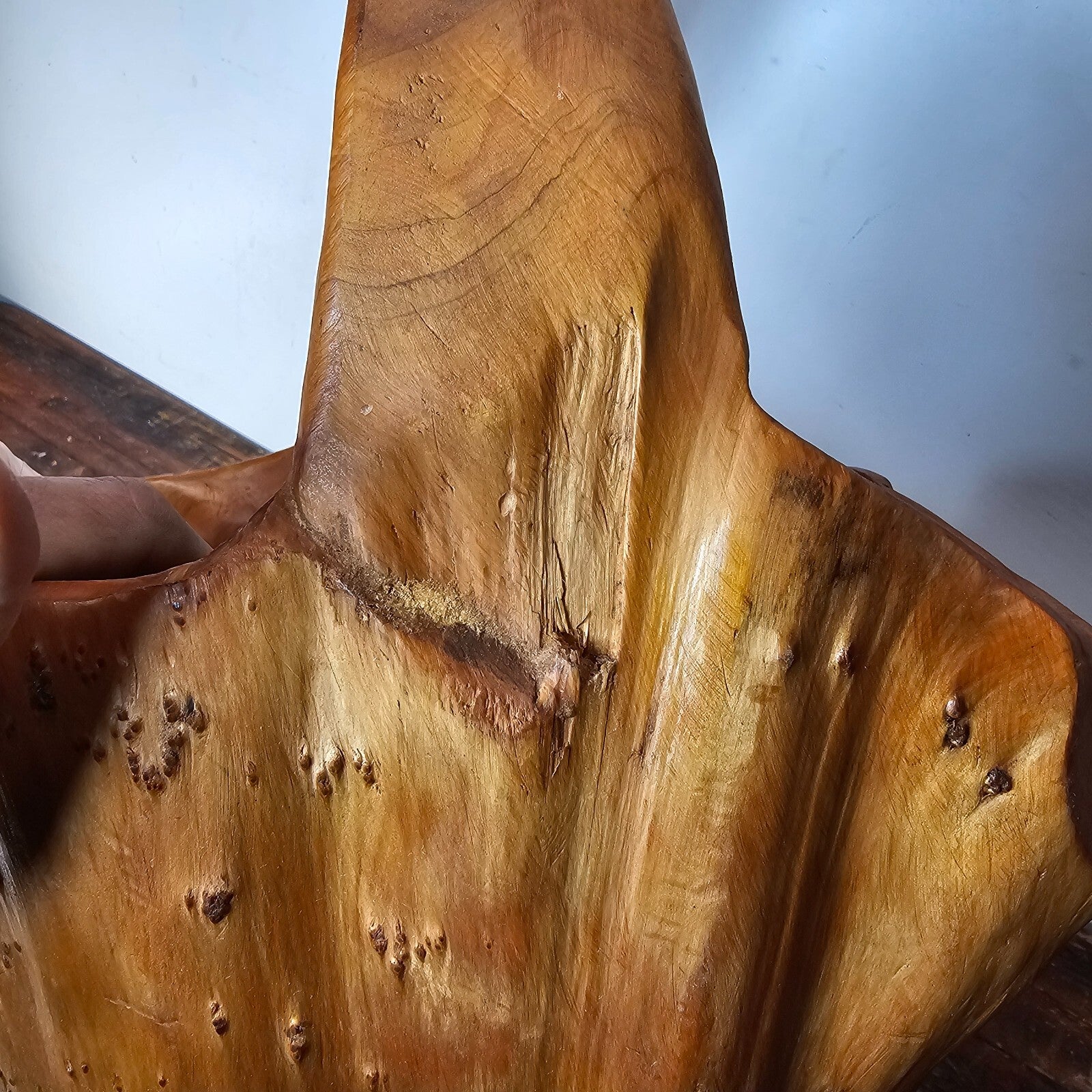 Large Wood Burl Root Hand Carved Bowl Basket with Handle 13.5" x 13.5" x 19.5"H