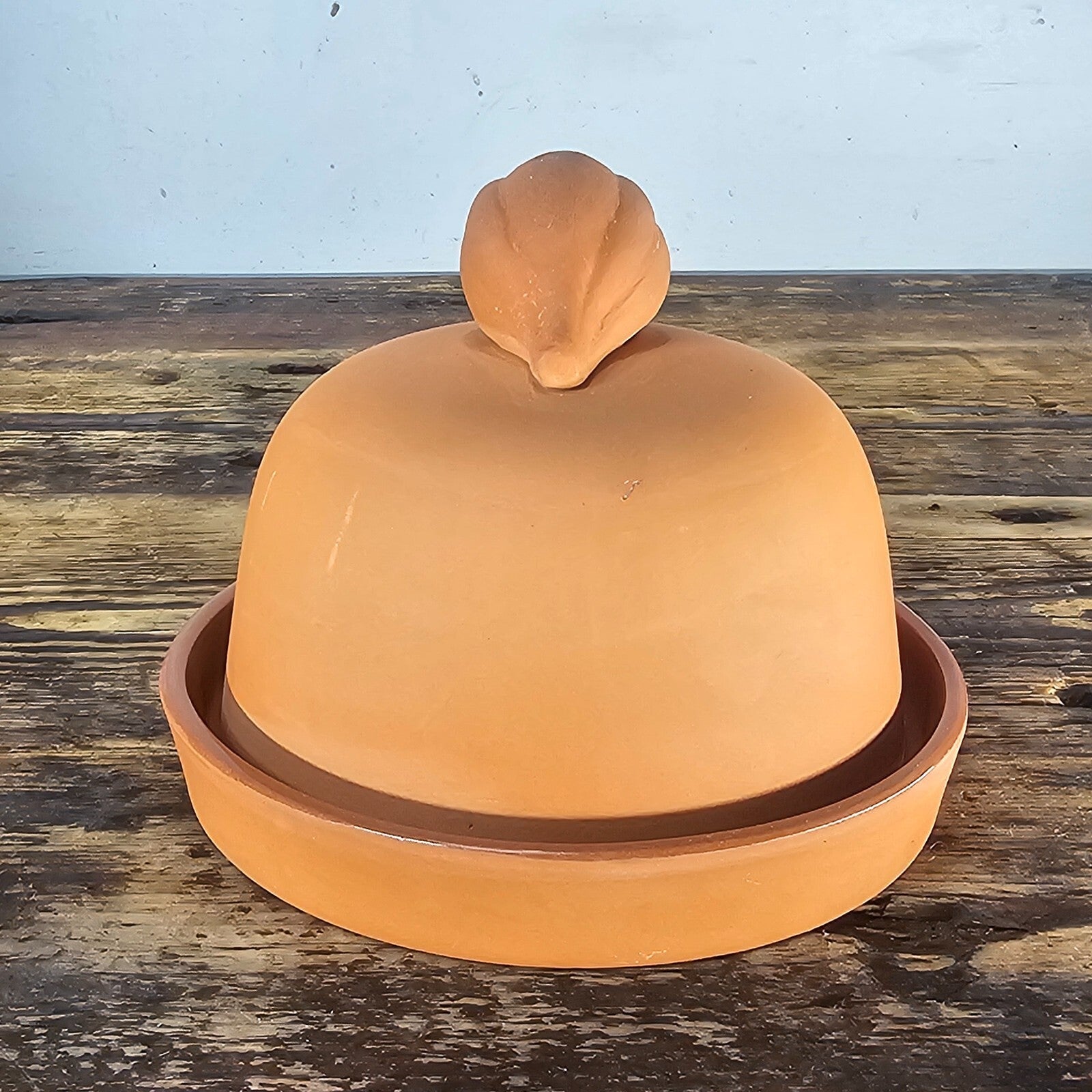Terra Cotta Garlic Onion Oven Bake Cooker Roaster 90s