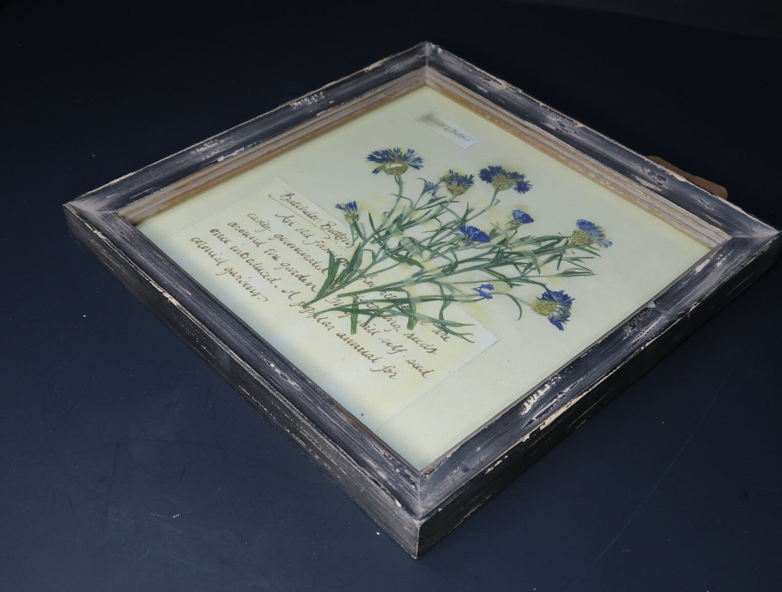 Shabby Chic Wall Art 9.5" x 9.5"