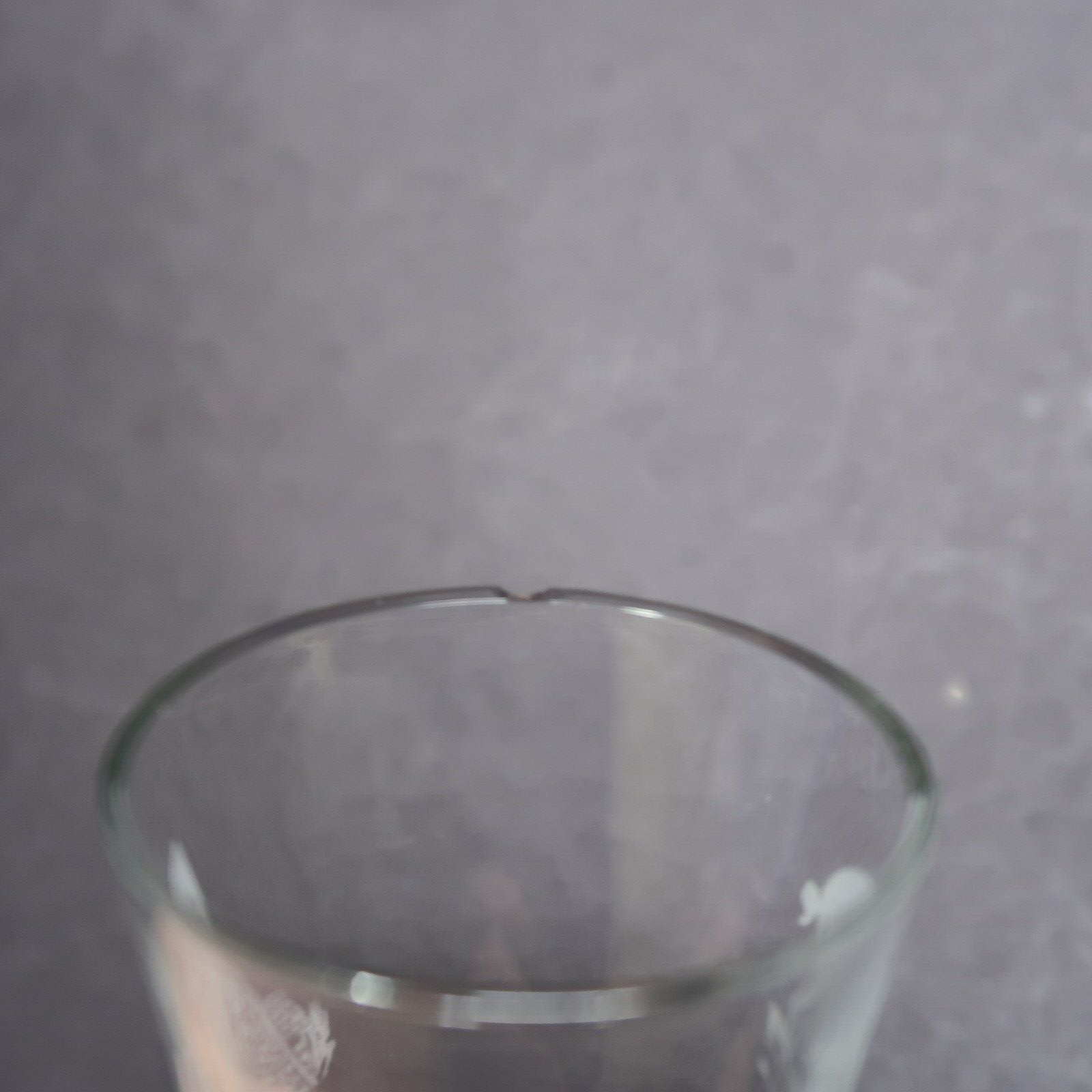 " Pig Gents Ladies " & " The House of Lazier " Etched Shot Glass H 3.3"