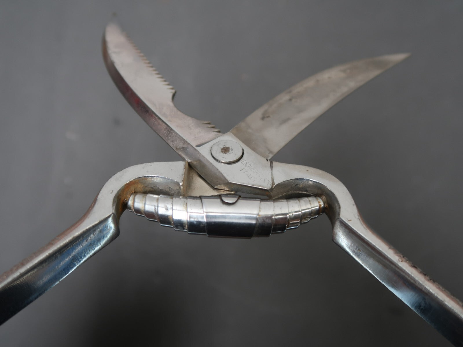 N Schreiber & Sons Chrome Plated Poultry Kitchen Shears Scissors Made In Italy
