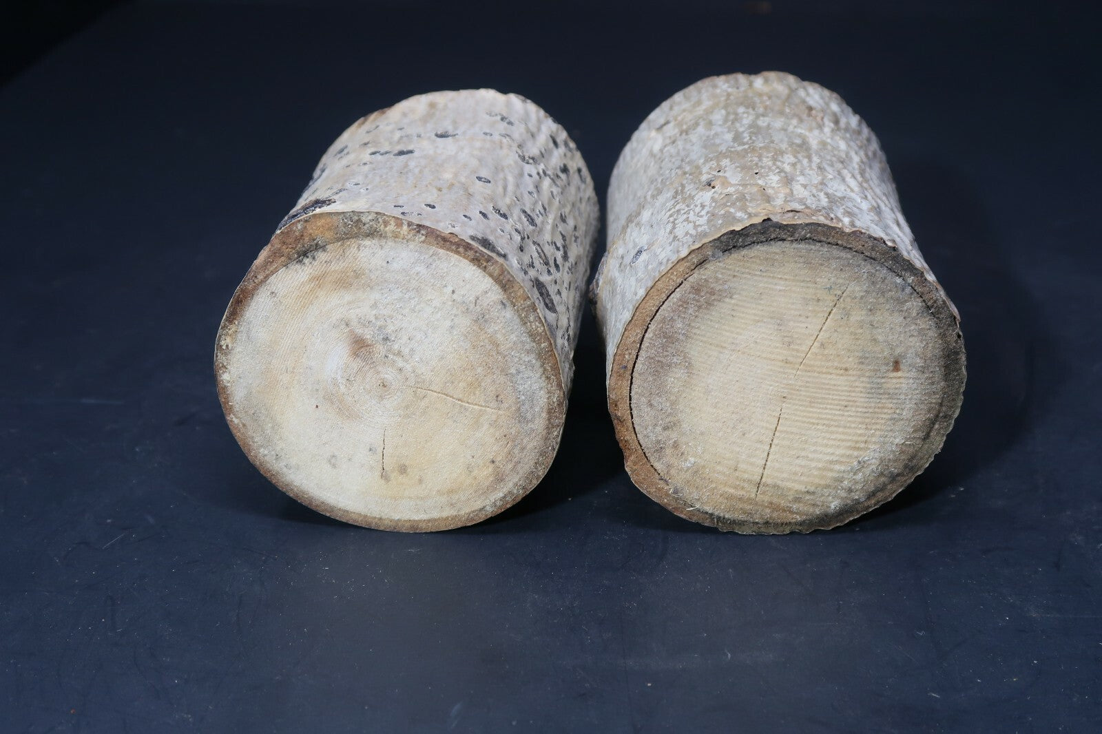 Set of 2 Birch Tree Candle Holders