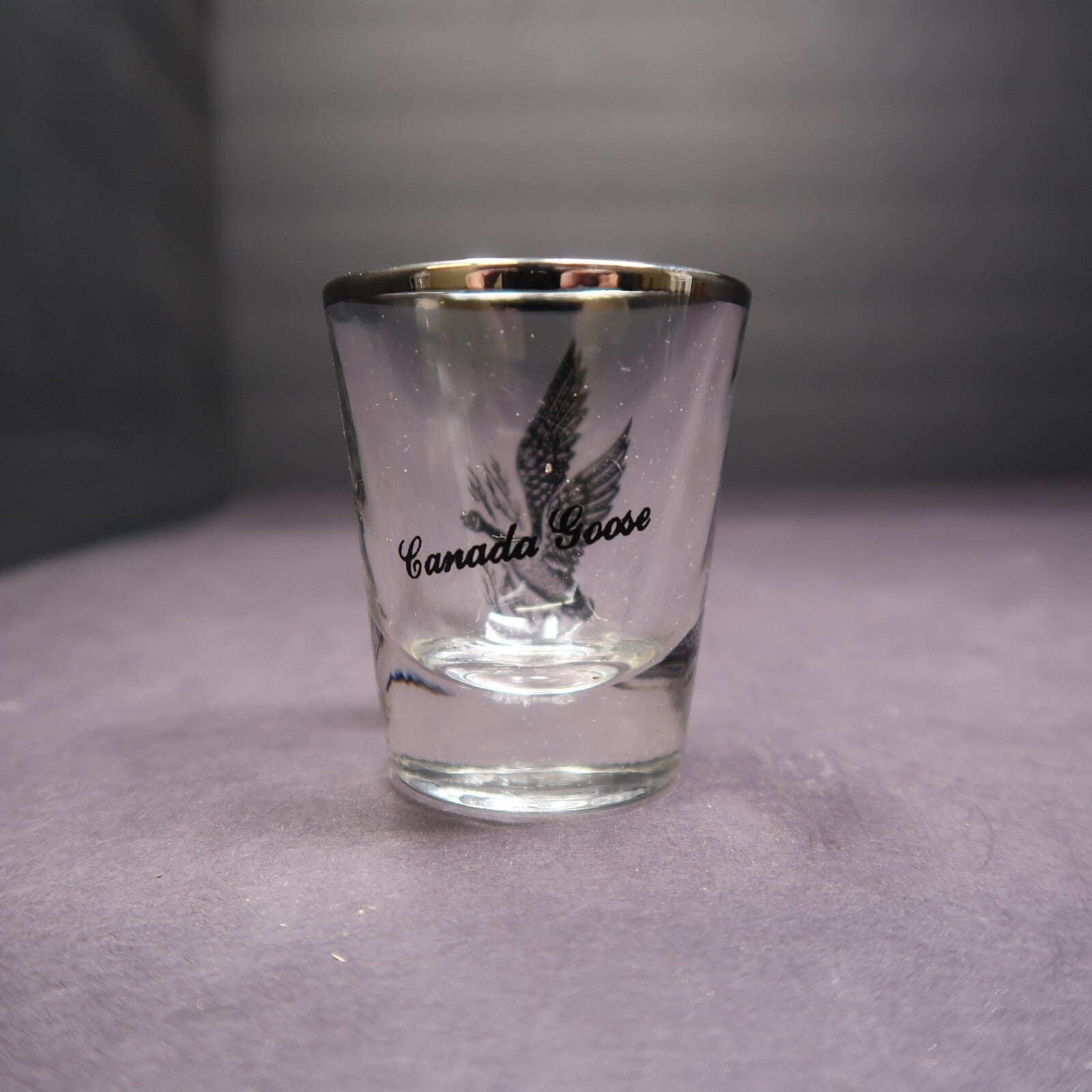 Canada Goose Old Fashioned Sportsman by FEDERAL GLASS