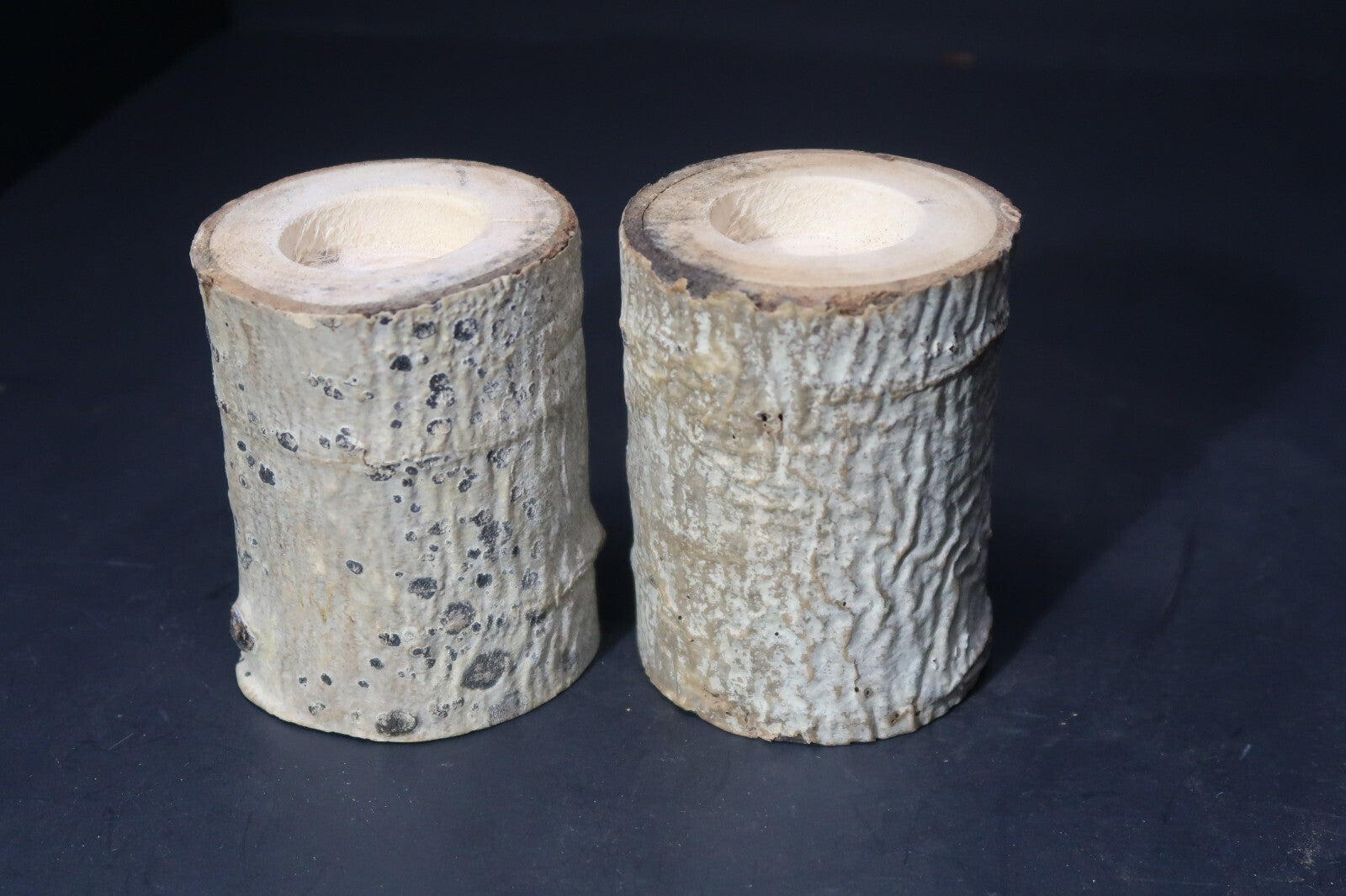 Set of 2 Birch Tree Candle Holders