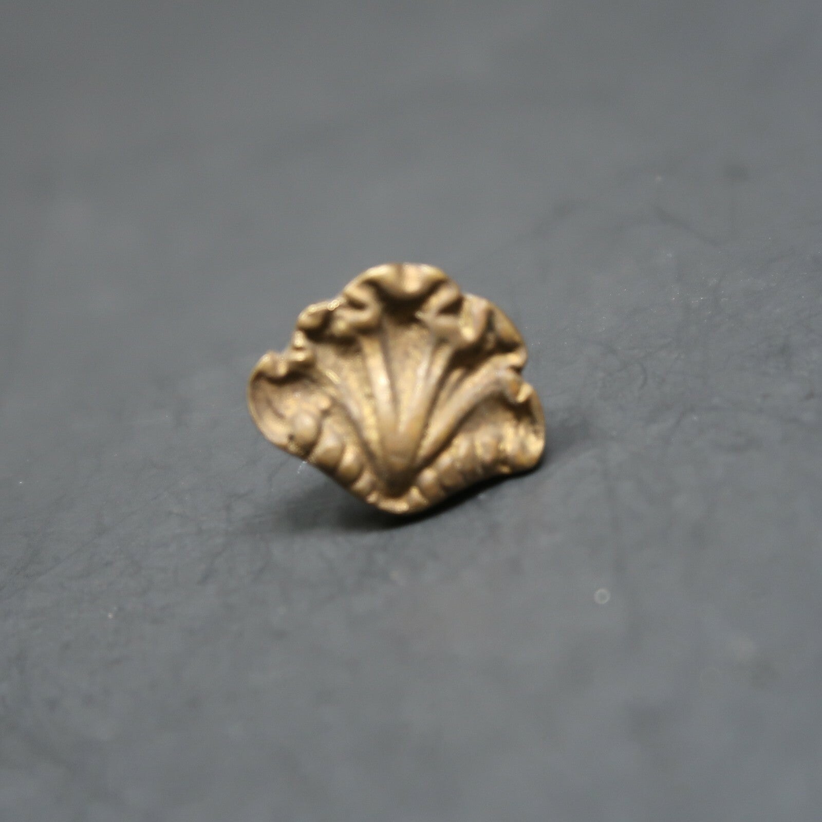 Set of 2 Small Antique Ornate Brass Drawer Pulls with Screws